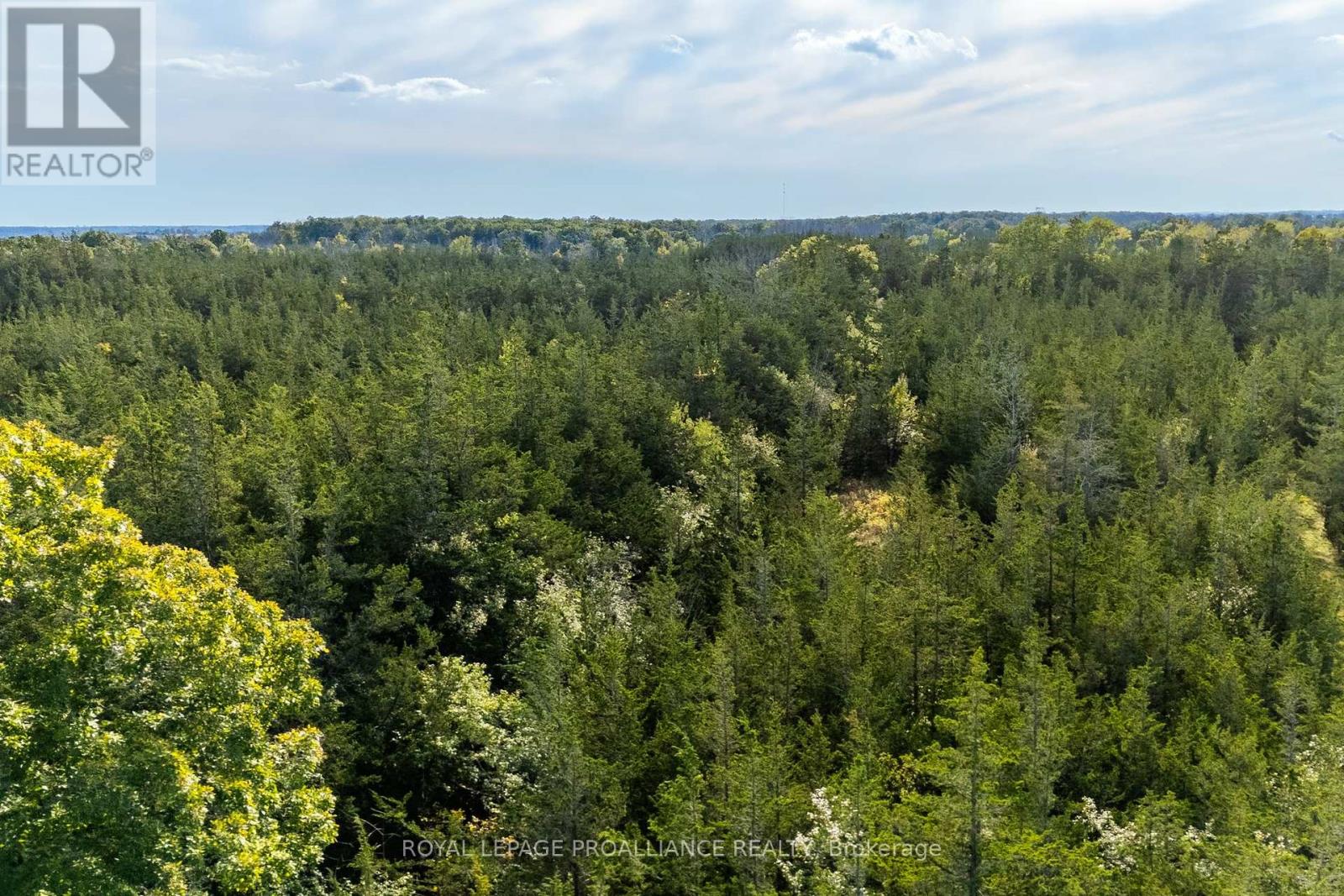 Lot 45 Sprague Road Property Photo 11