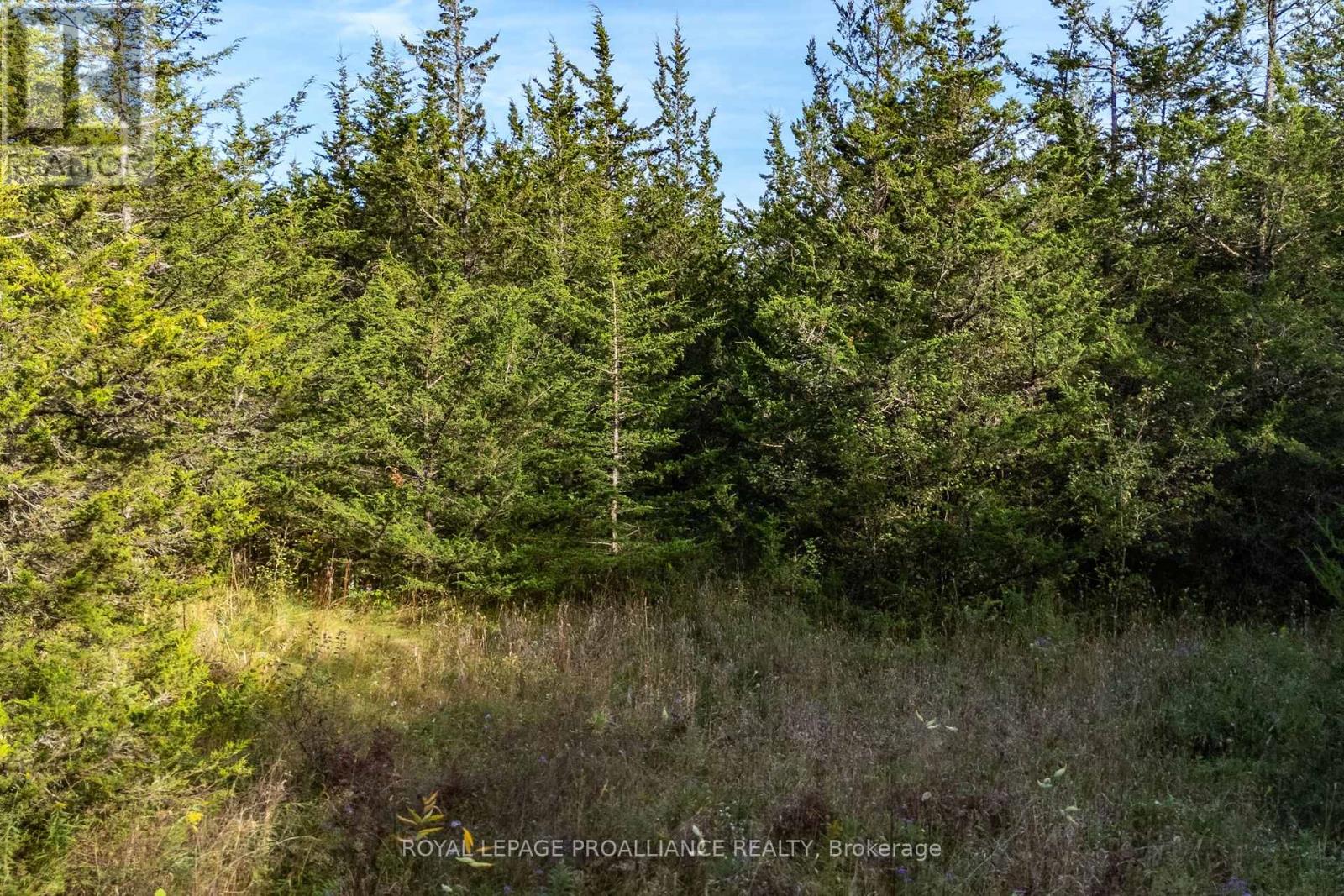 Lot 45 Sprague Road Property Photo 12