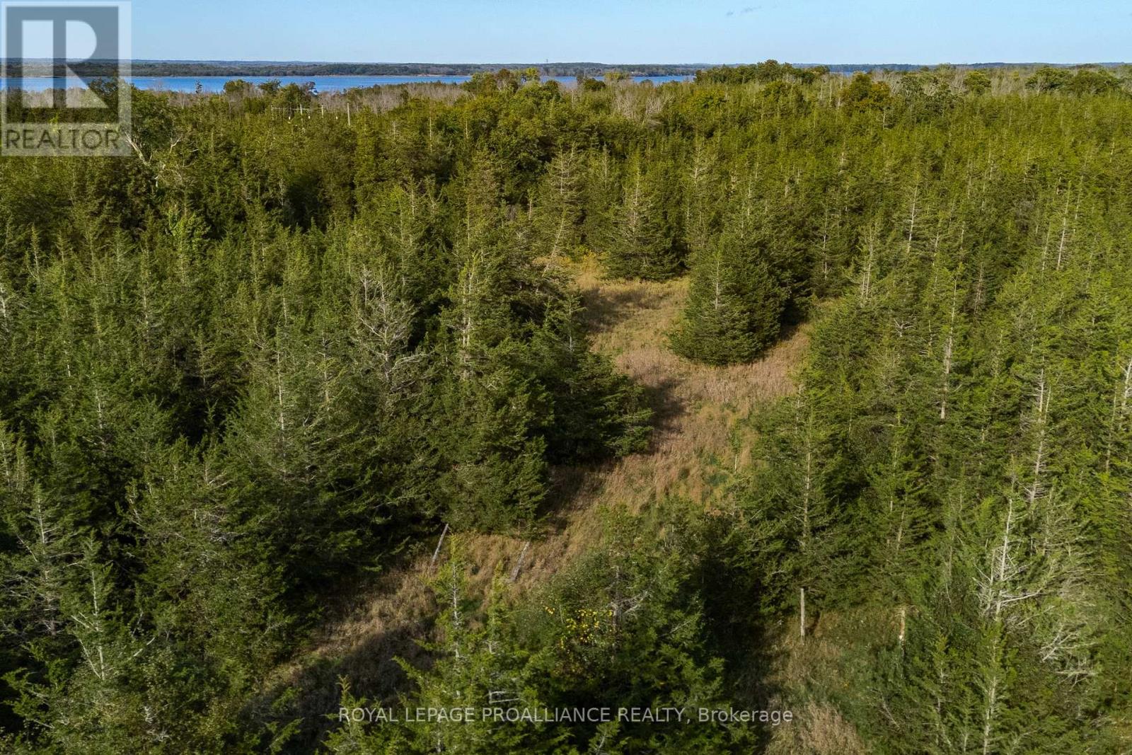 Lot 45 Sprague Road Property Photo 13