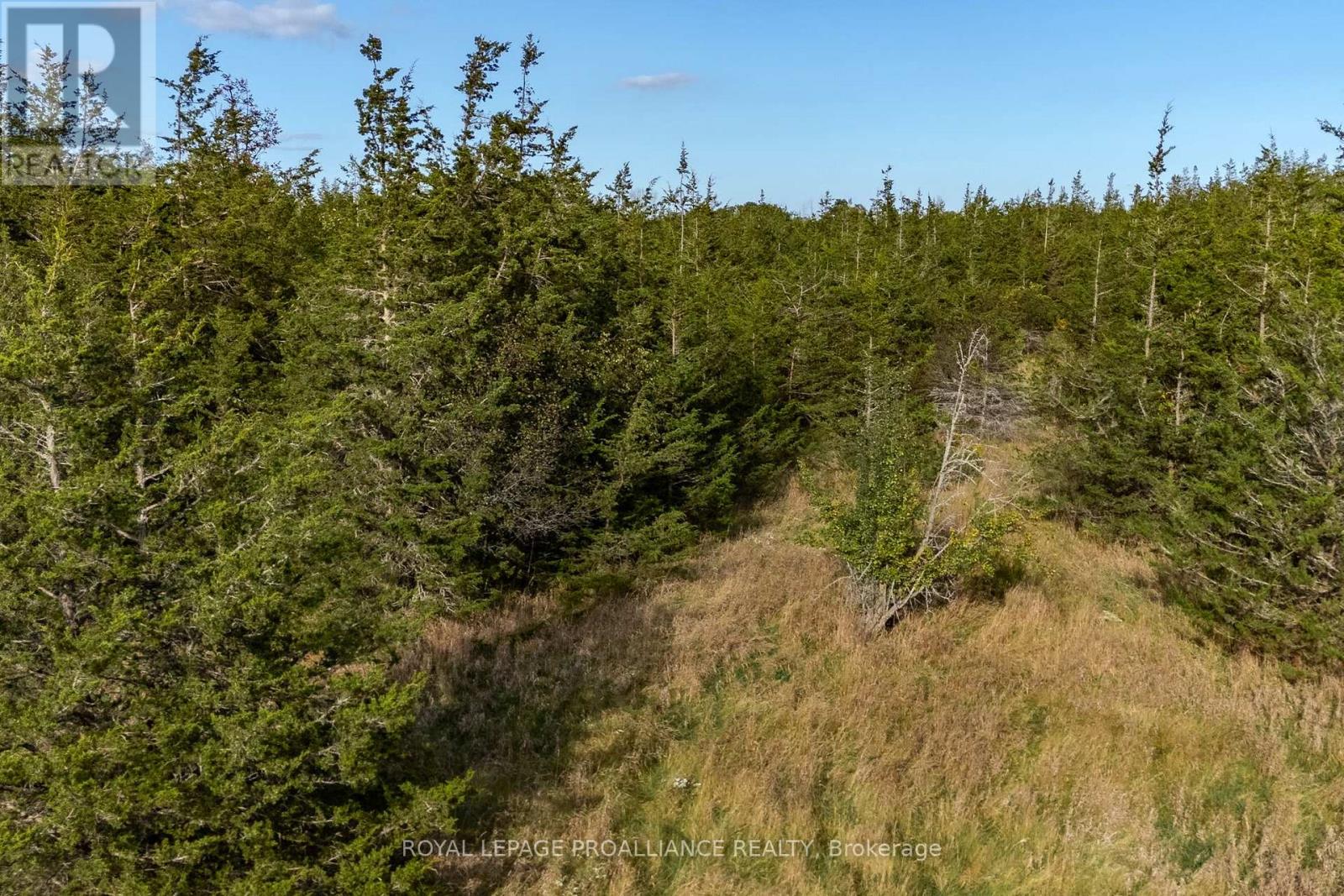 Lot 45 Sprague Road Property Photo 14