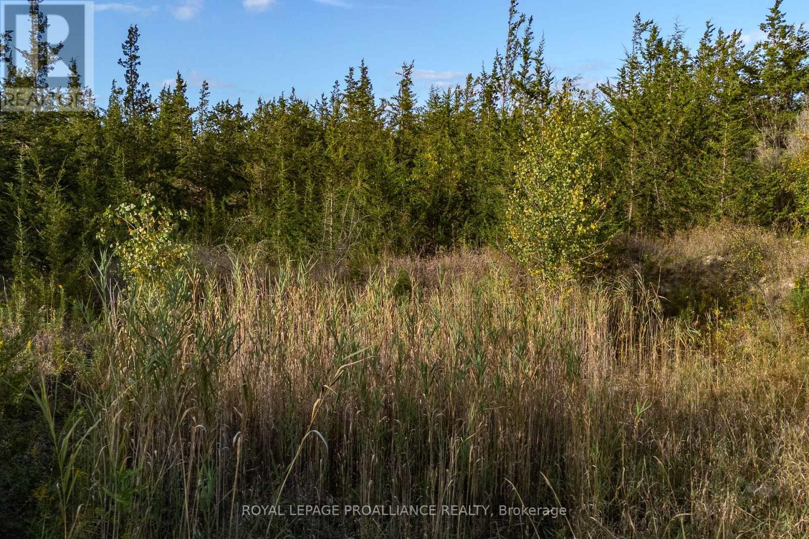 Lot 45 Sprague Road Property Photo 15