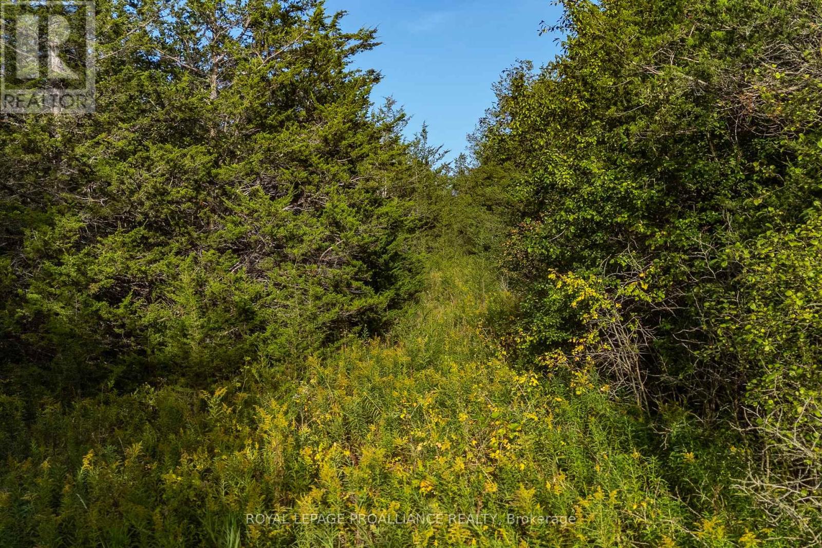 Lot 45 Sprague Road Property Photo 16