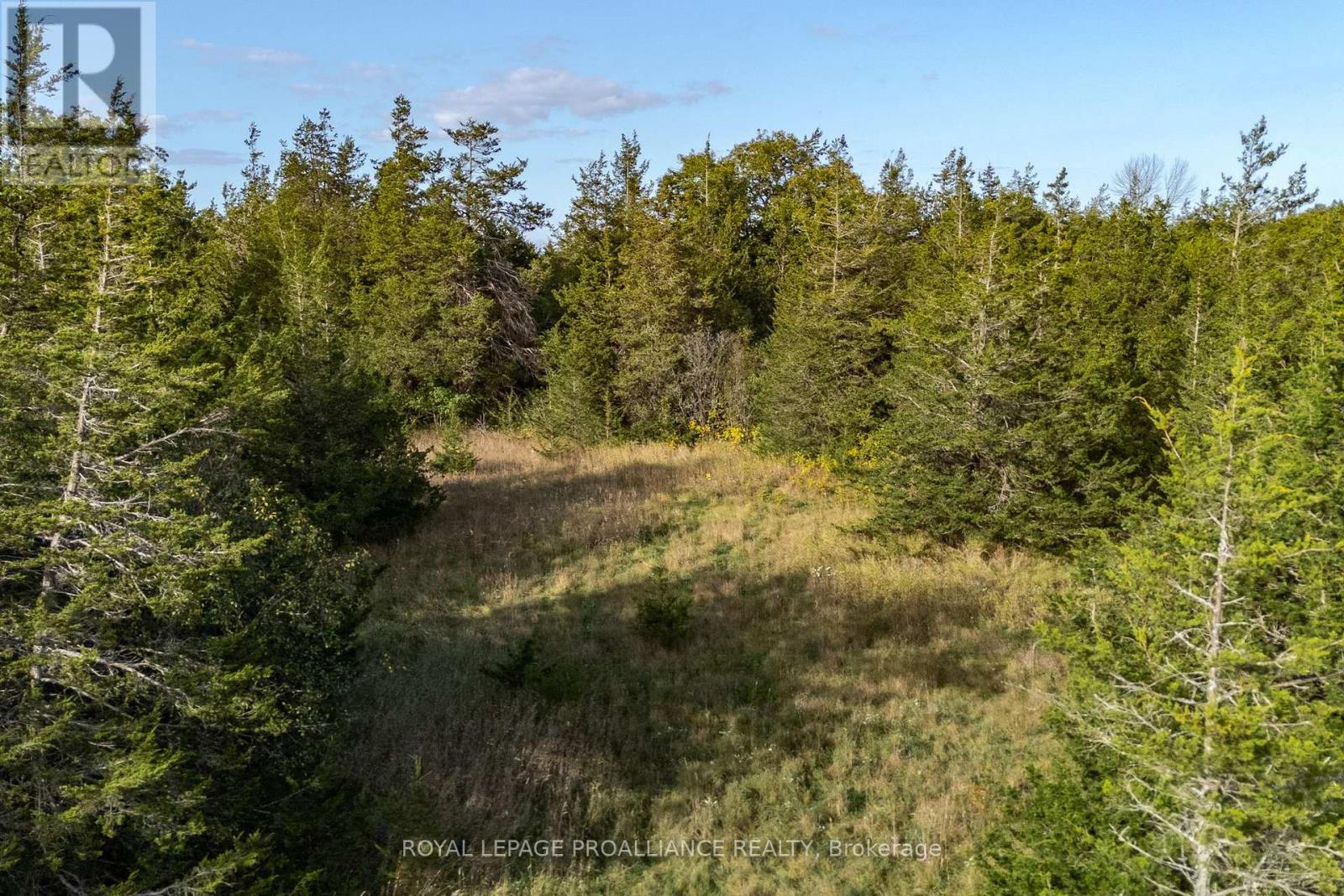 Lot 45 Sprague Road Property Photo 18