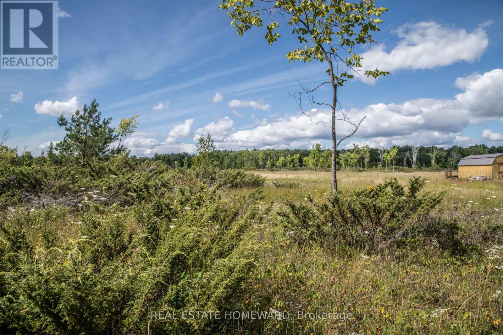 Lot 250 Mcguire Beach Road Property Photo 1