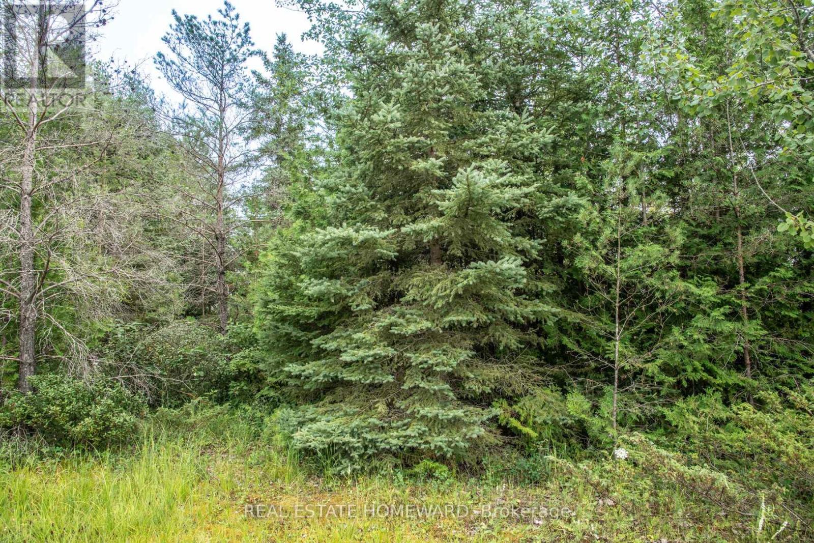 Lot 250 Mcguire Beach Road Property Photo 2
