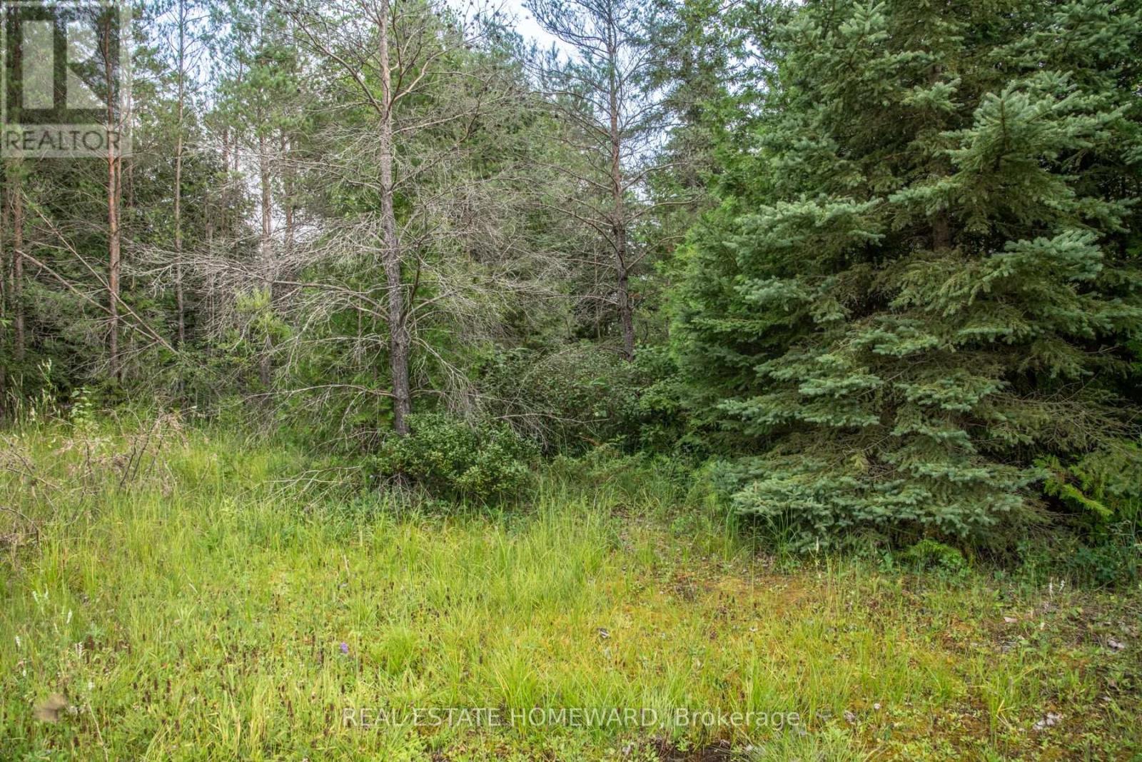Lot 250 Mcguire Beach Road Property Photo 4