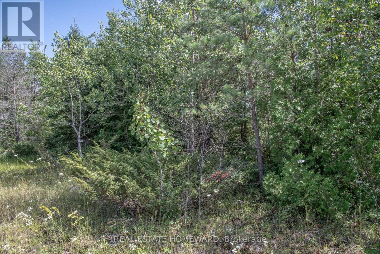 Lot 250 Mcguire Beach Road Property Photo 6