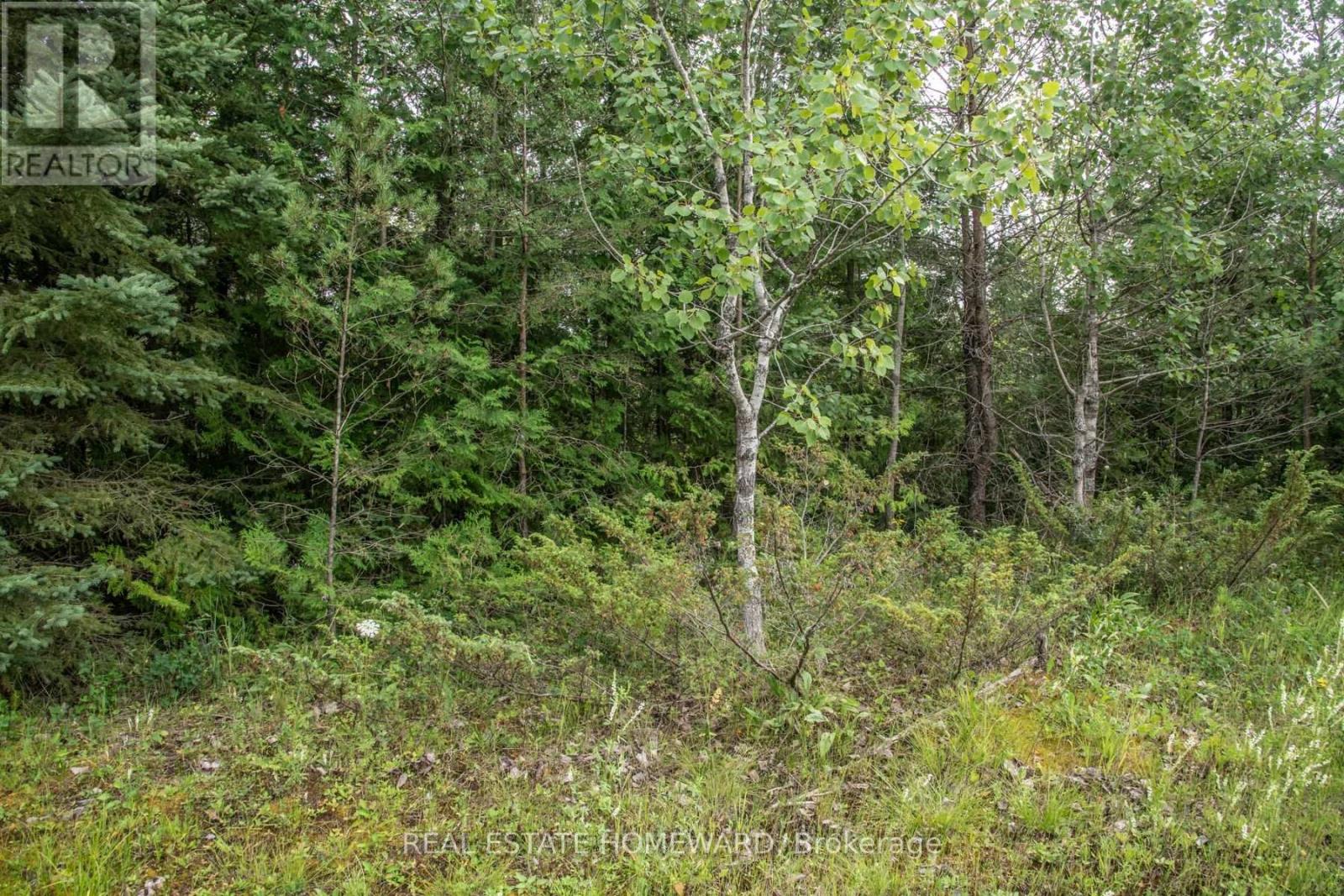 Lot 250 Mcguire Beach Road Property Photo 7