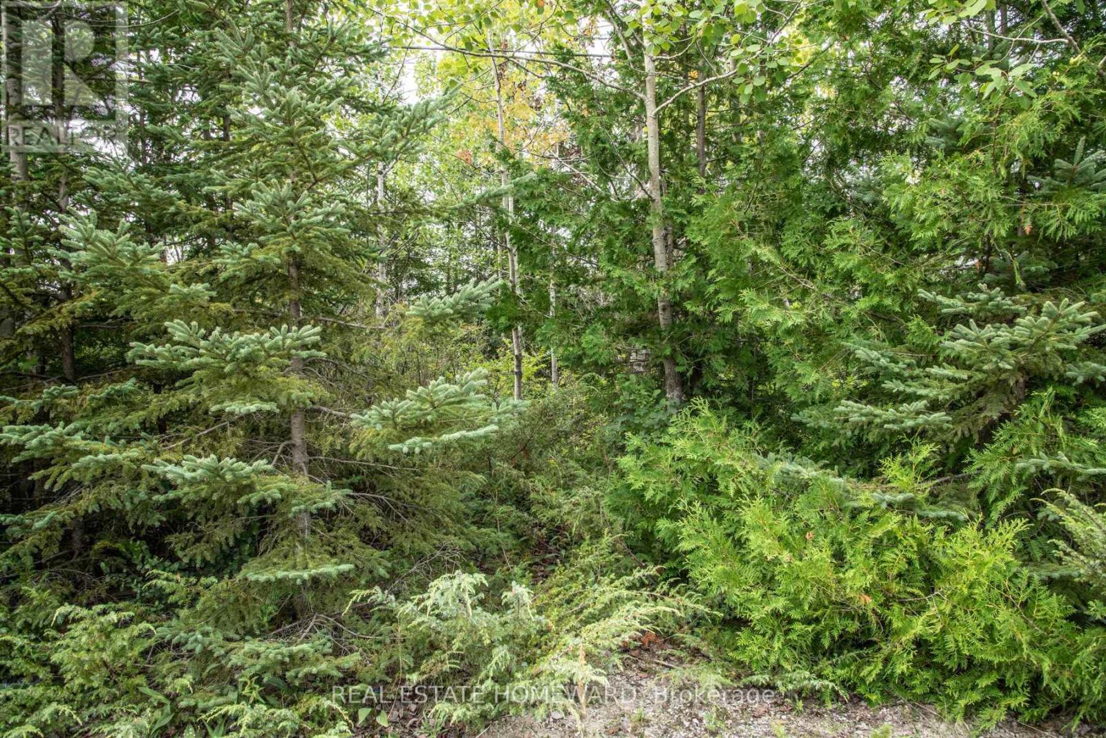 Lot 250 Mcguire Beach Road Property Photo 8