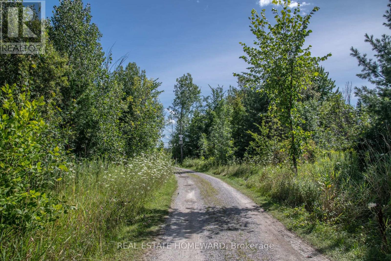 Lot 250 Mcguire Beach Road Property Photo 10