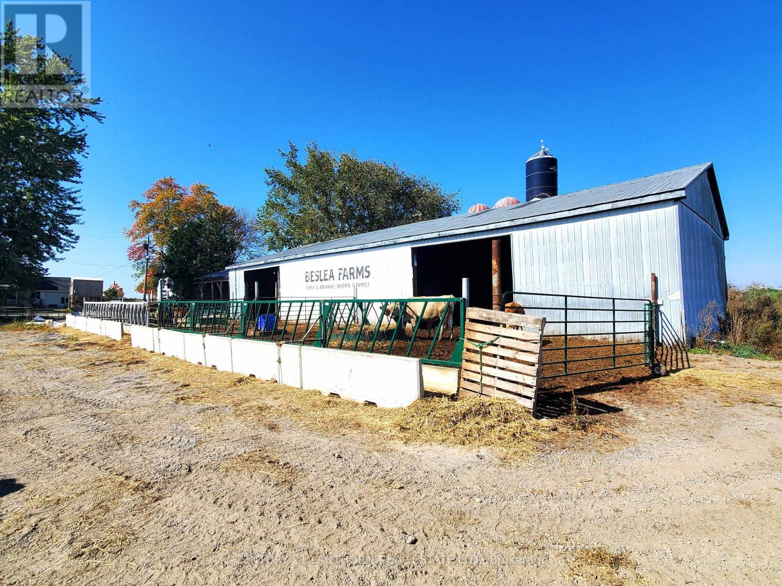173 Card Road Property Photo 11