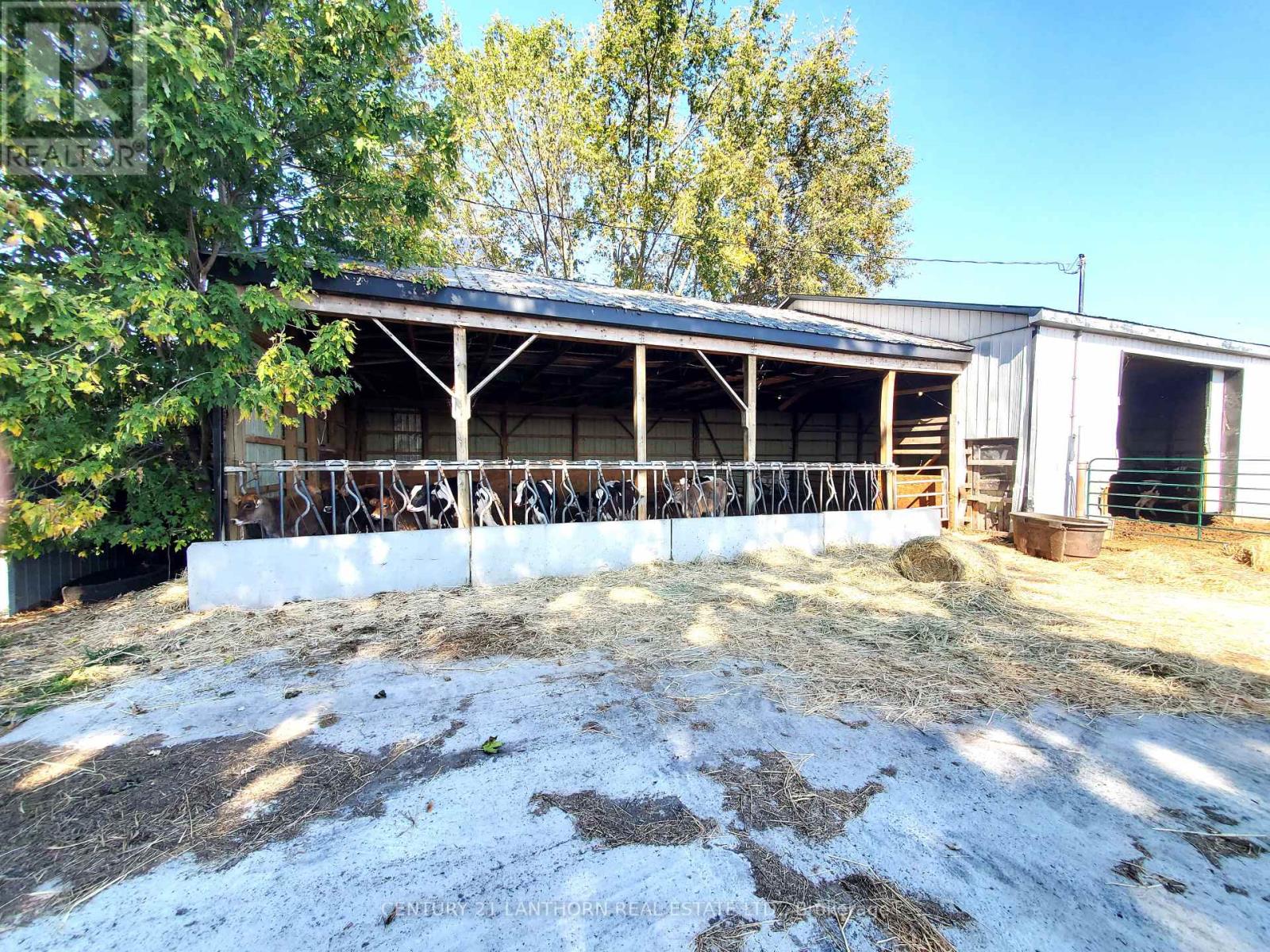 173 Card Road Property Photo 12