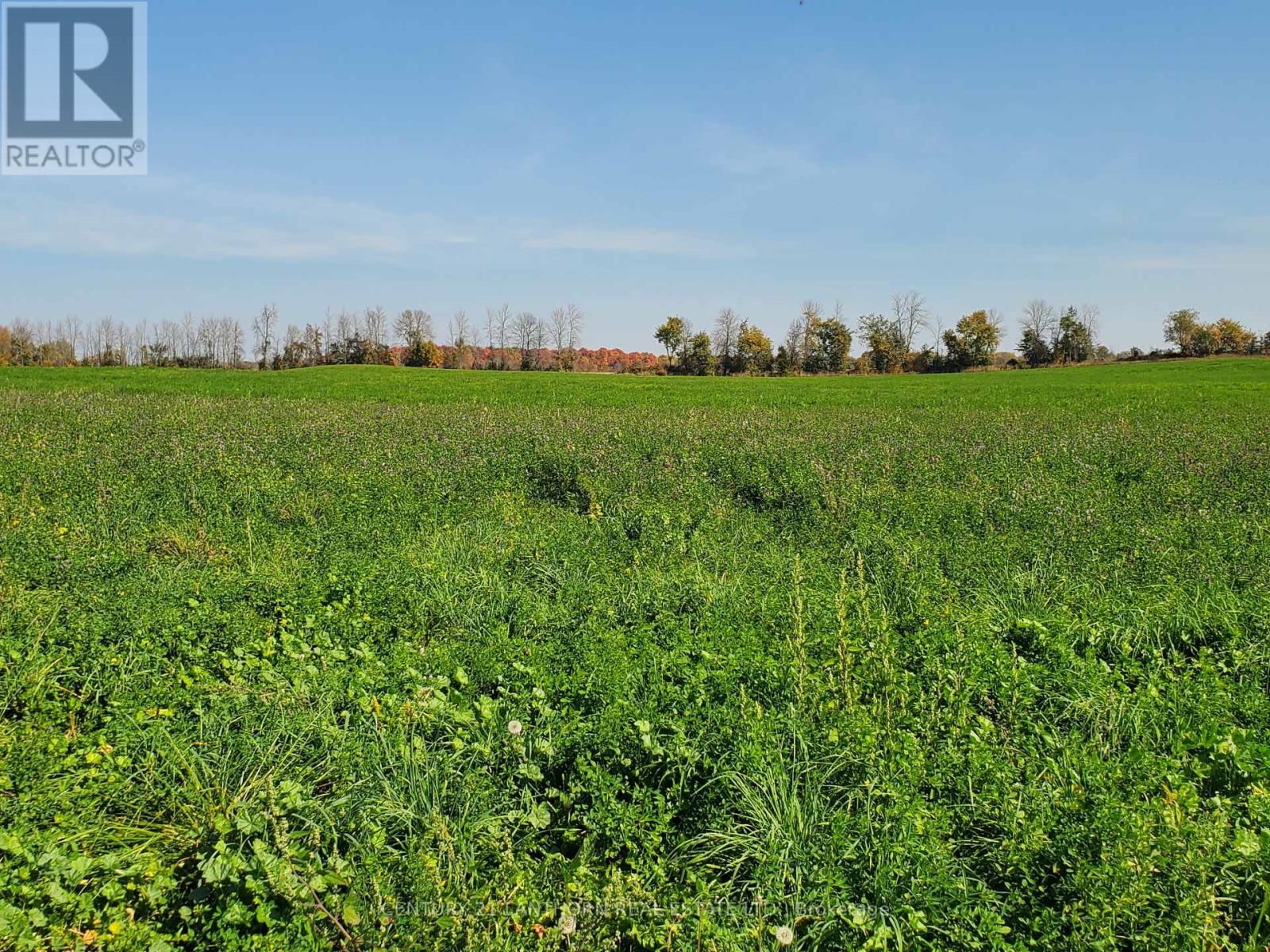 173 Card Road Property Photo 17