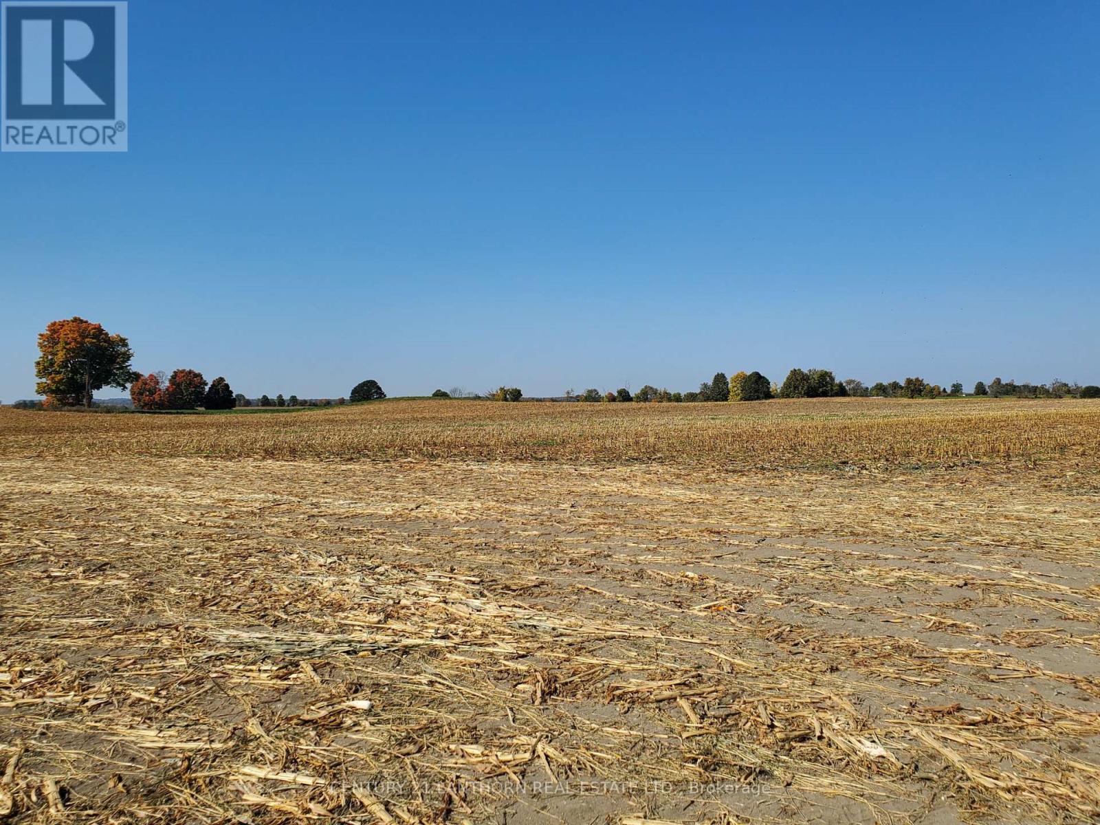 173 Card Road Property Photo 18