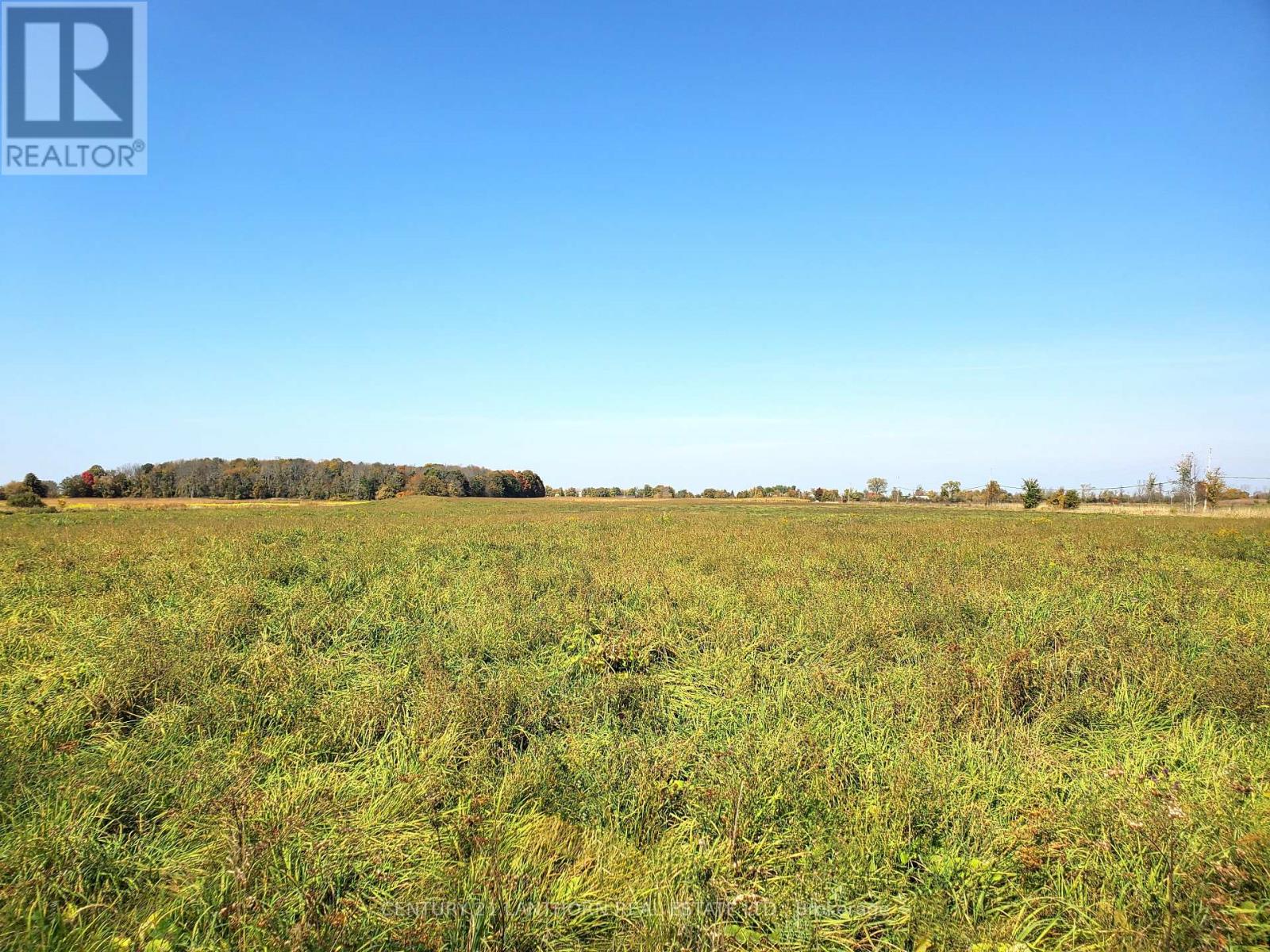 173 Card Road Property Photo 20