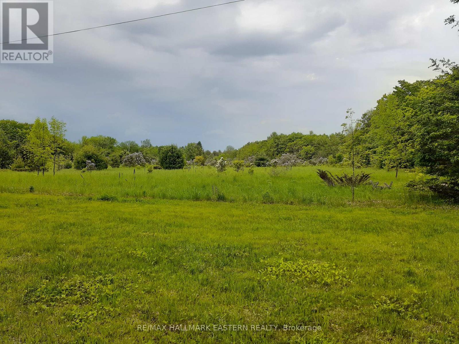 720 County Road 507 Property Photo 24