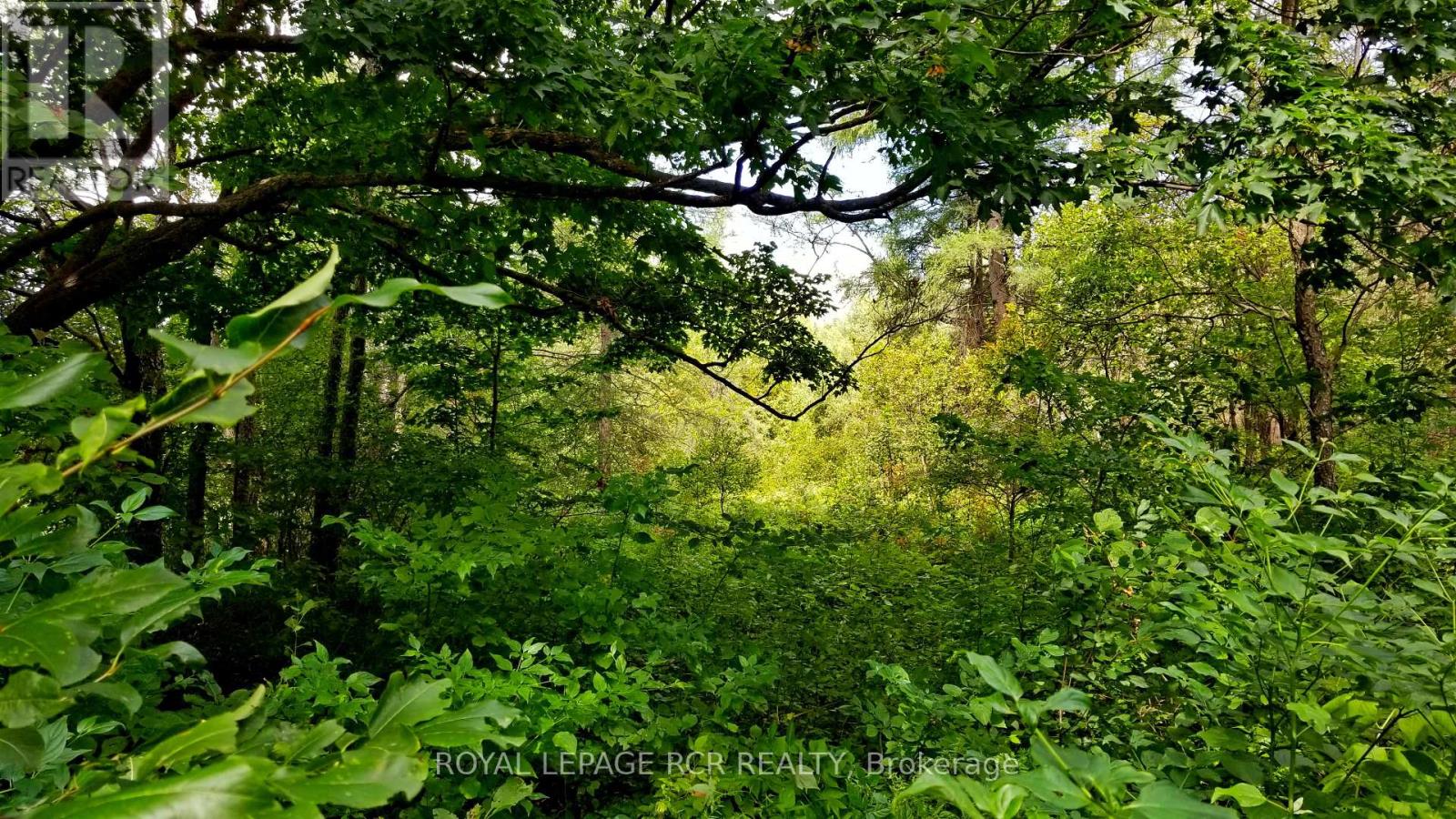 Lot 31 9 County Road Property Photo 3