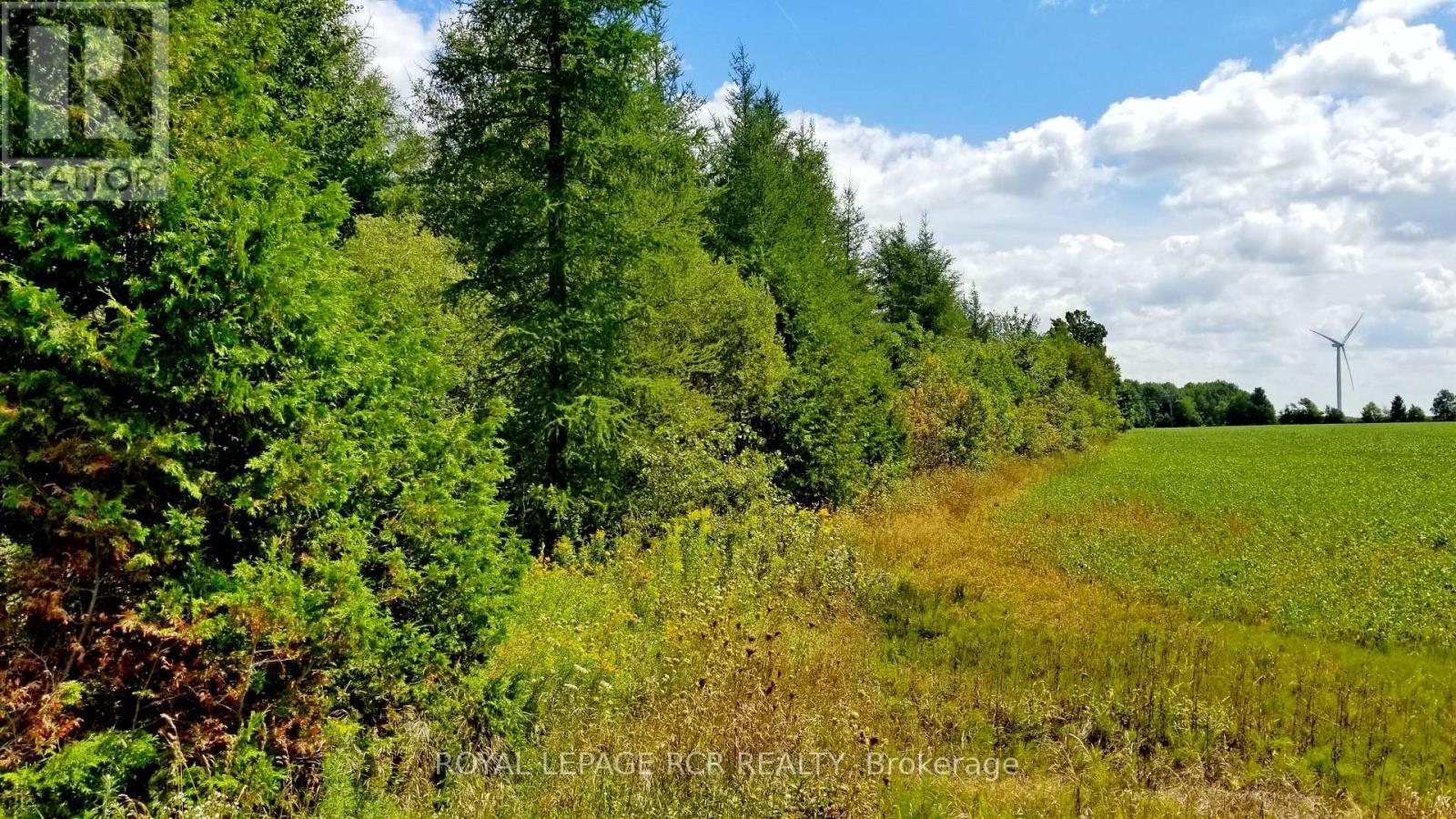Lot 31 9 County Road Property Photo 4