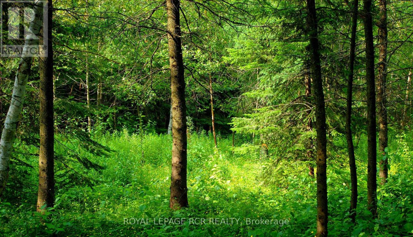 Lot 31 9 County Road Property Photo 6