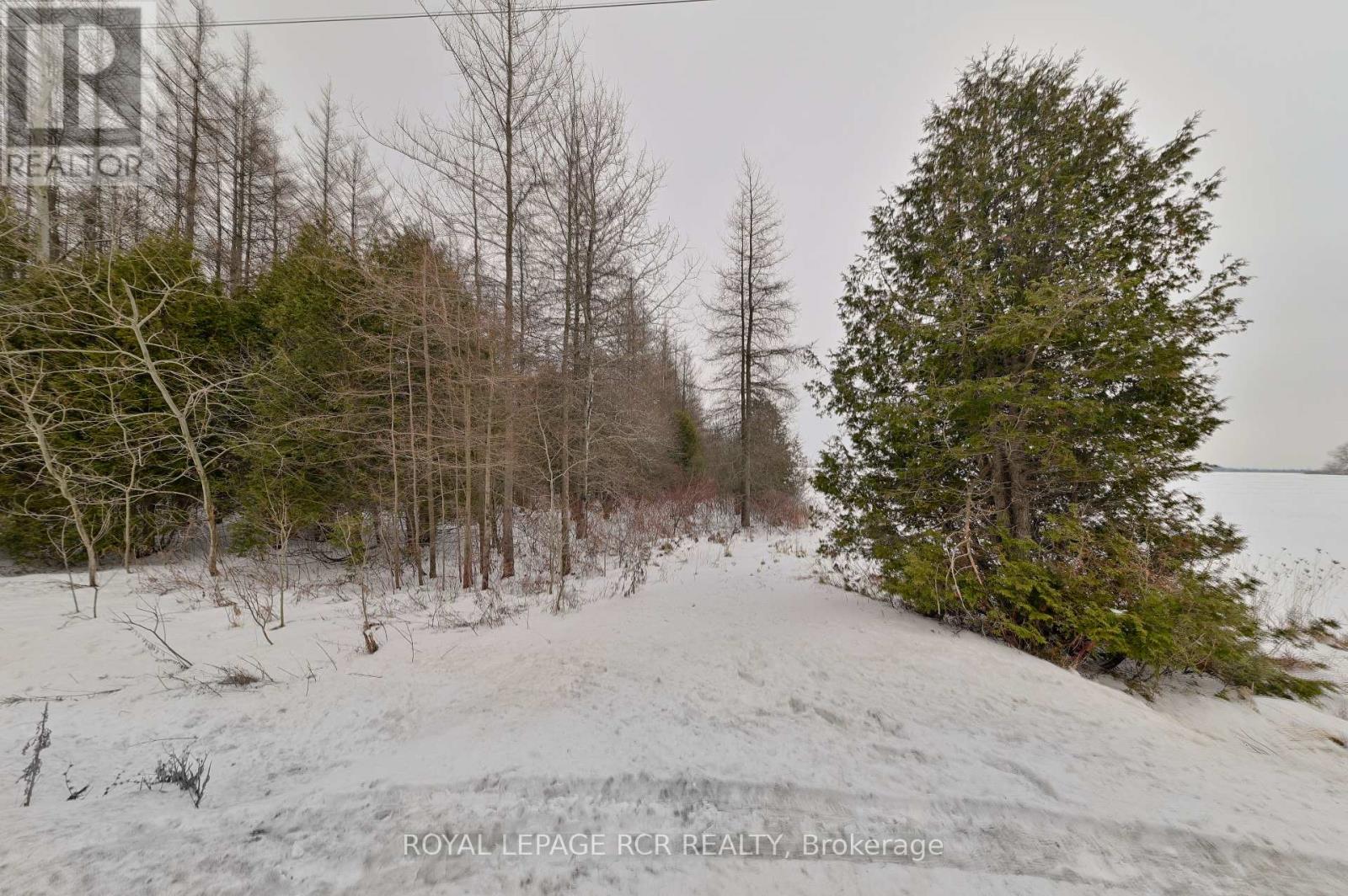 Lot 31 9 County Road Property Photo 10