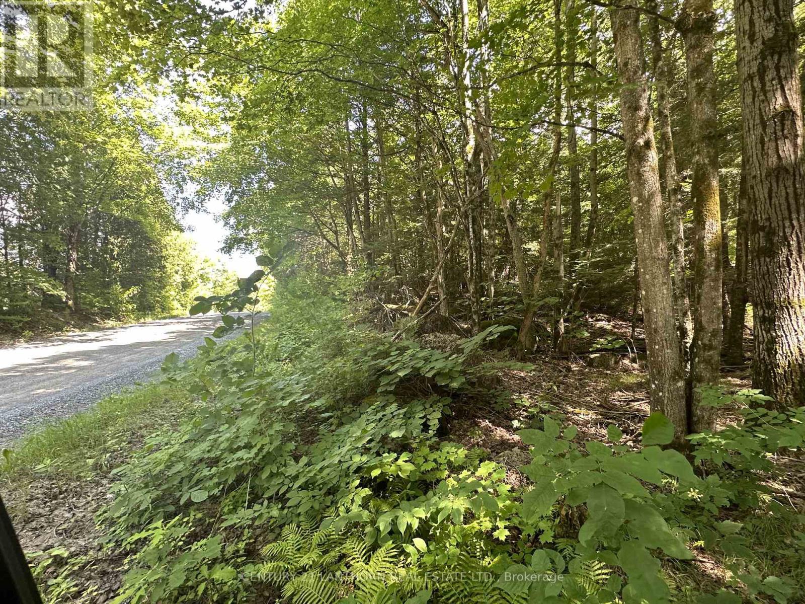 0 Scotch Settlement Road Property Photo 4