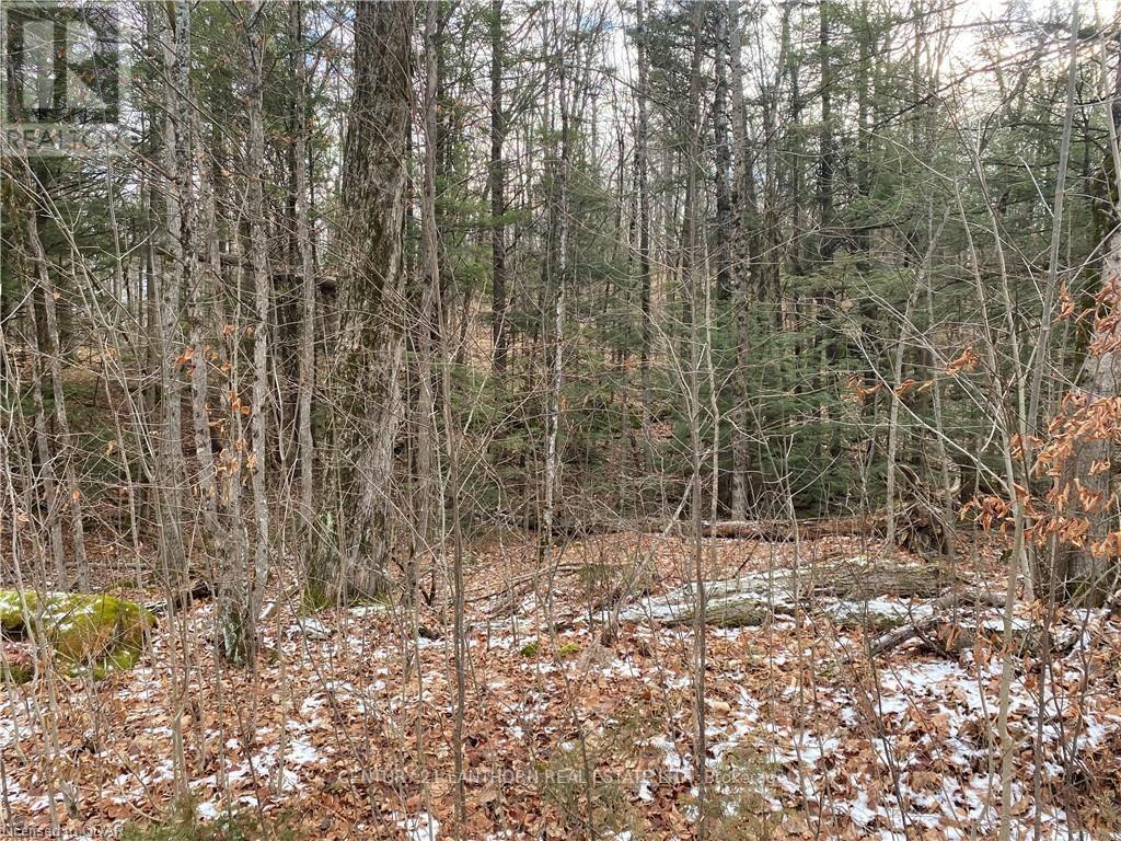 0 Scotch Settlement Road Property Photo 19