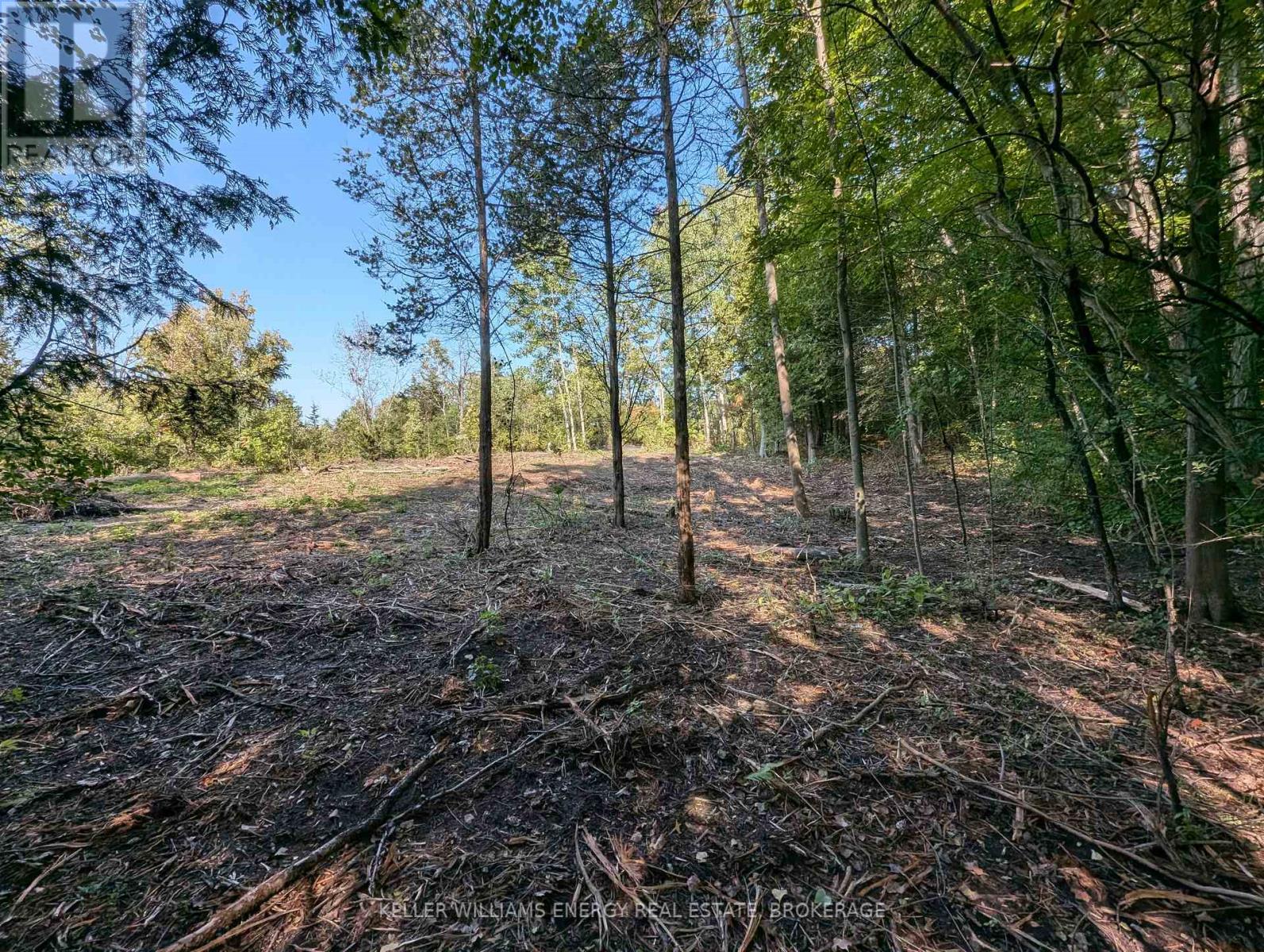 22 Ranger Road Property Photo 22