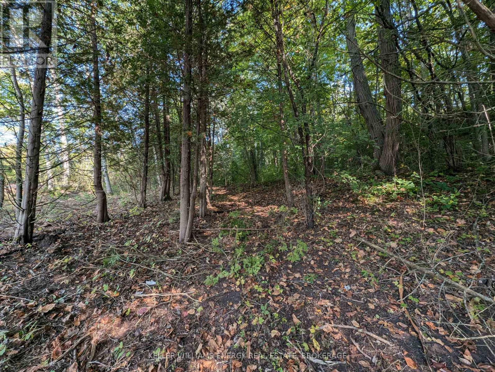 22 Ranger Road Property Photo 25