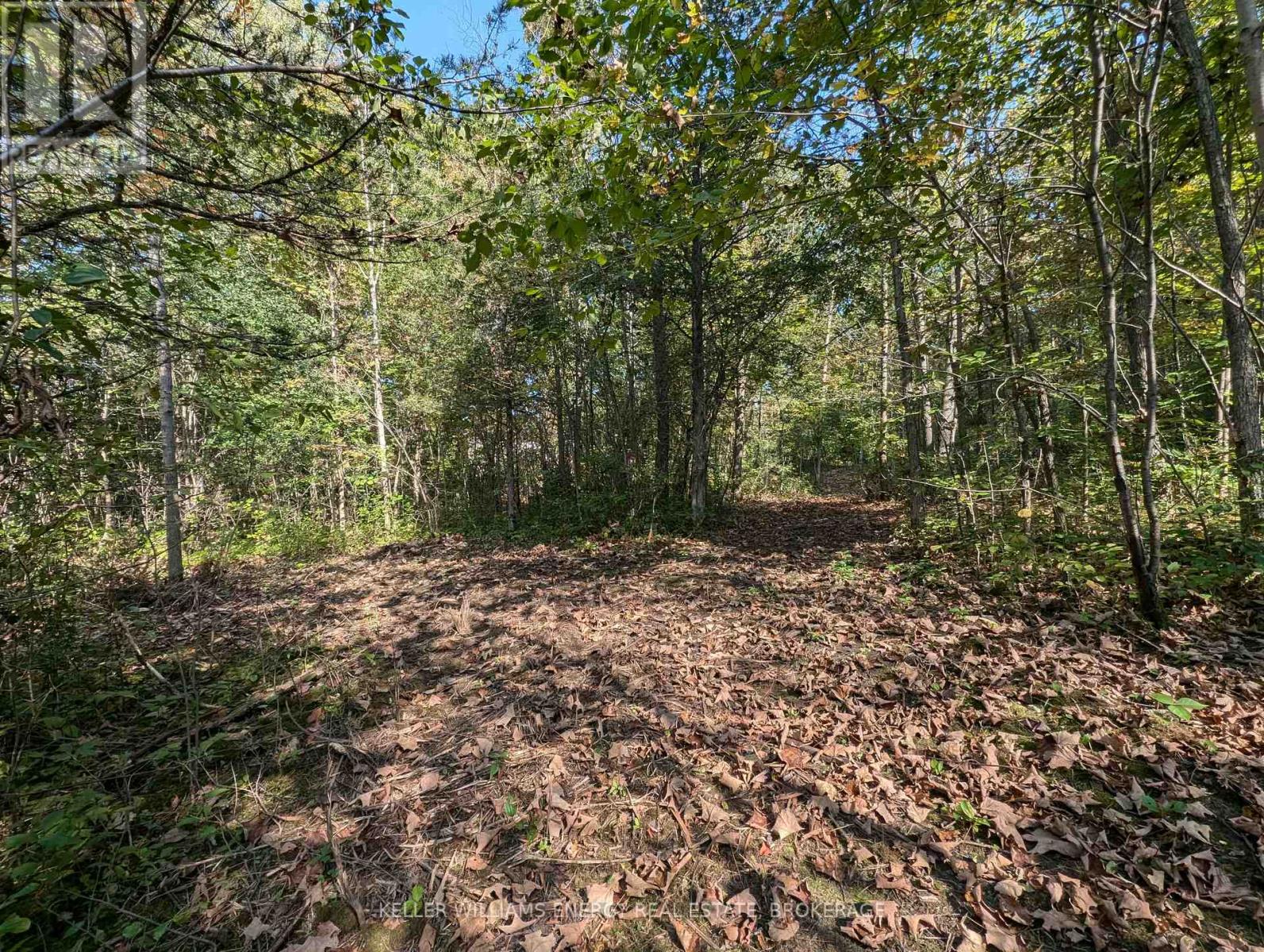 22 Ranger Road Property Photo 28