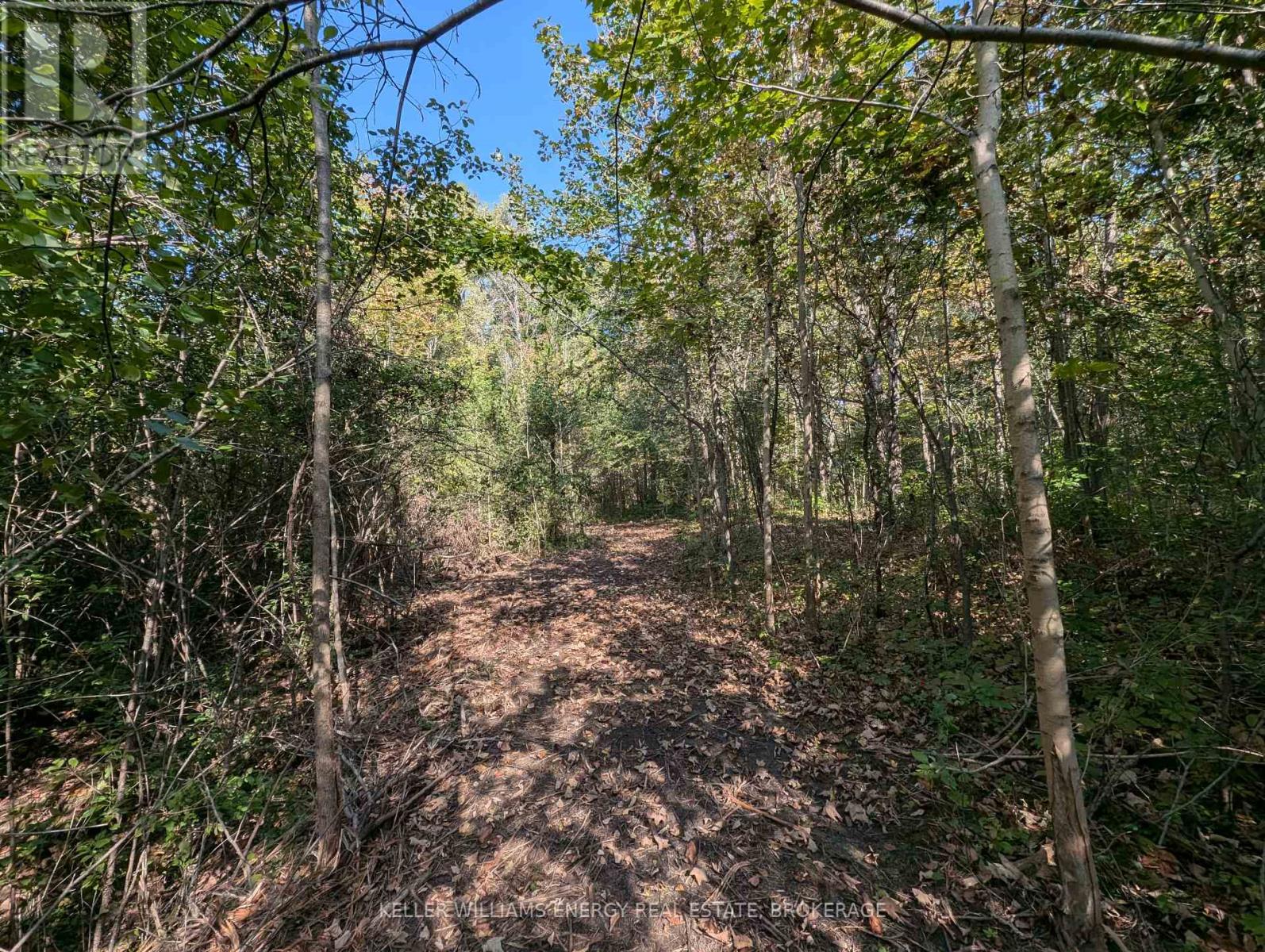 22 Ranger Road Property Photo 29
