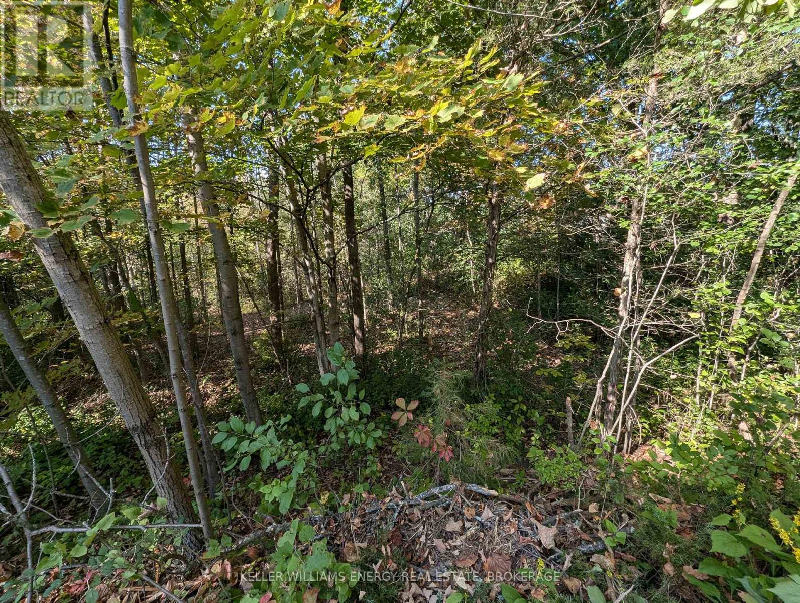 22 Ranger Road Property Photo 34