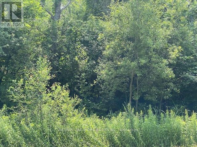 B2 Pipeline Road Property Photo 1