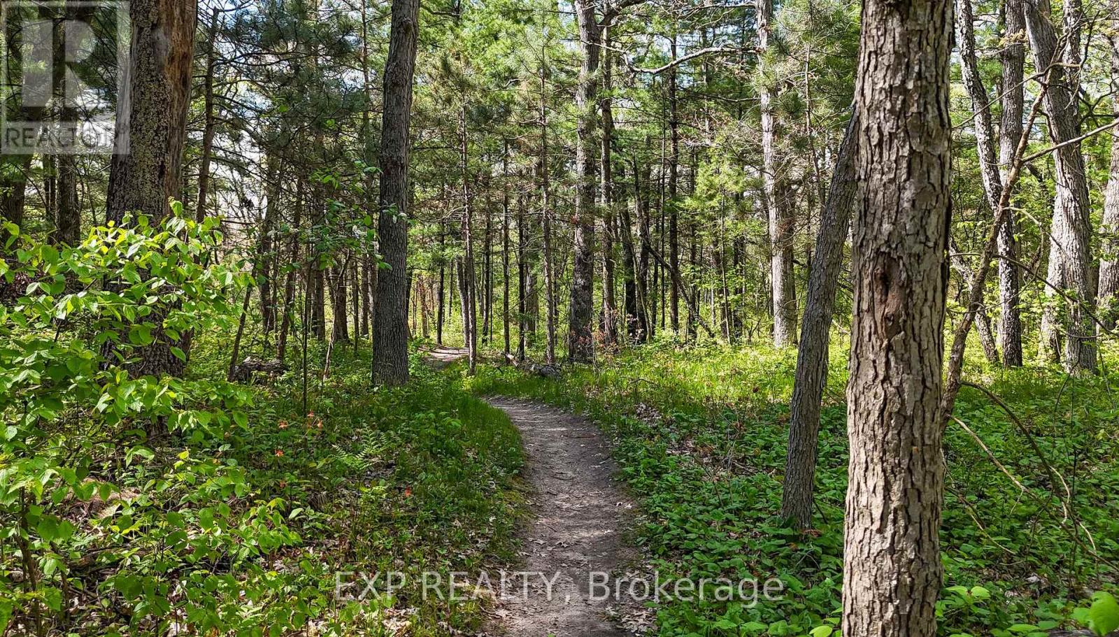 9928 Eric Street Property Photo 9
