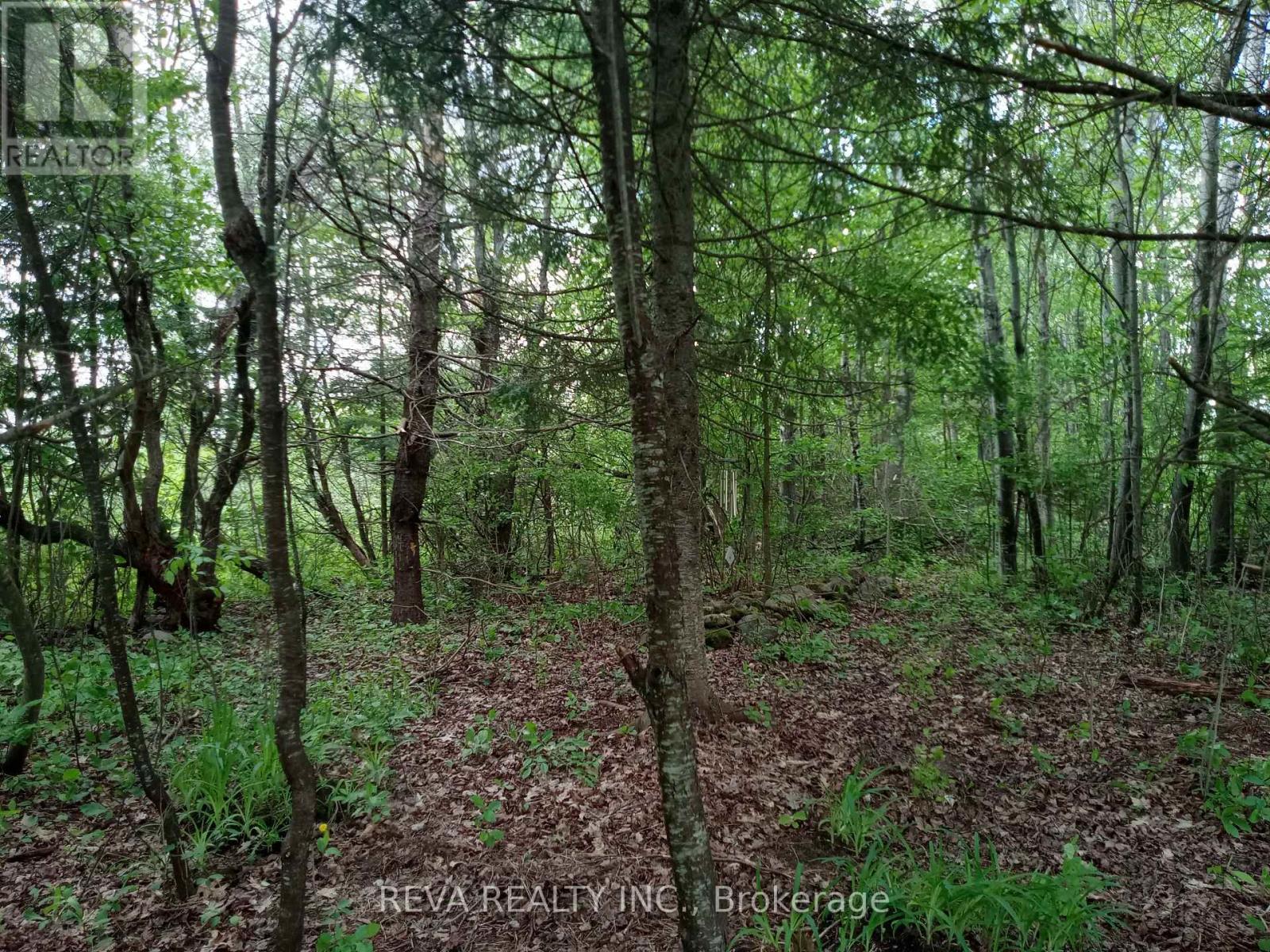 376 Kuno Road Property Photo 46
