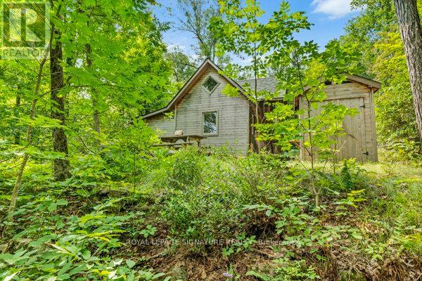 142 Paddy's Lane Property Photo 30