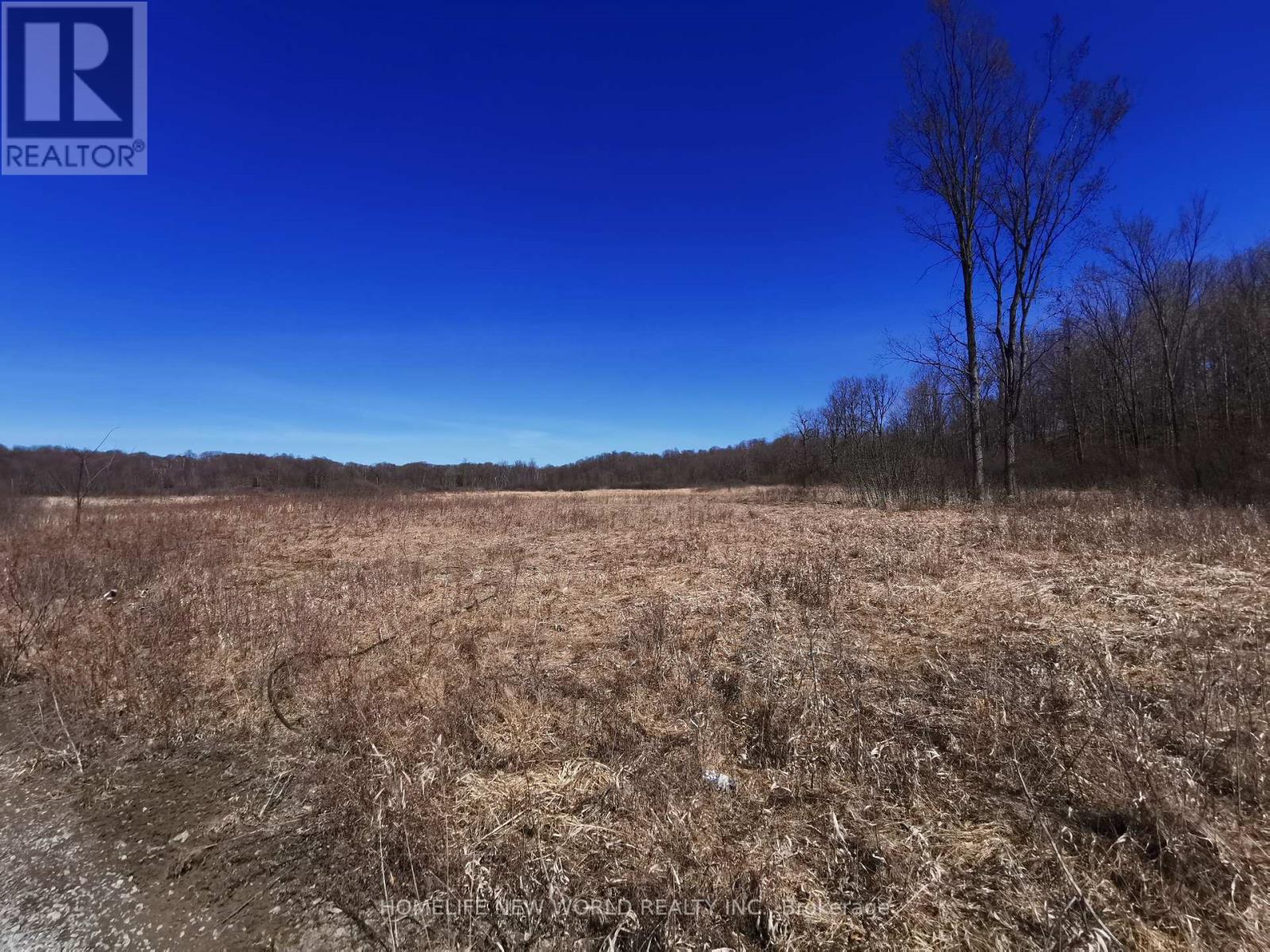 1082 Sand Bay Road Property Photo 21