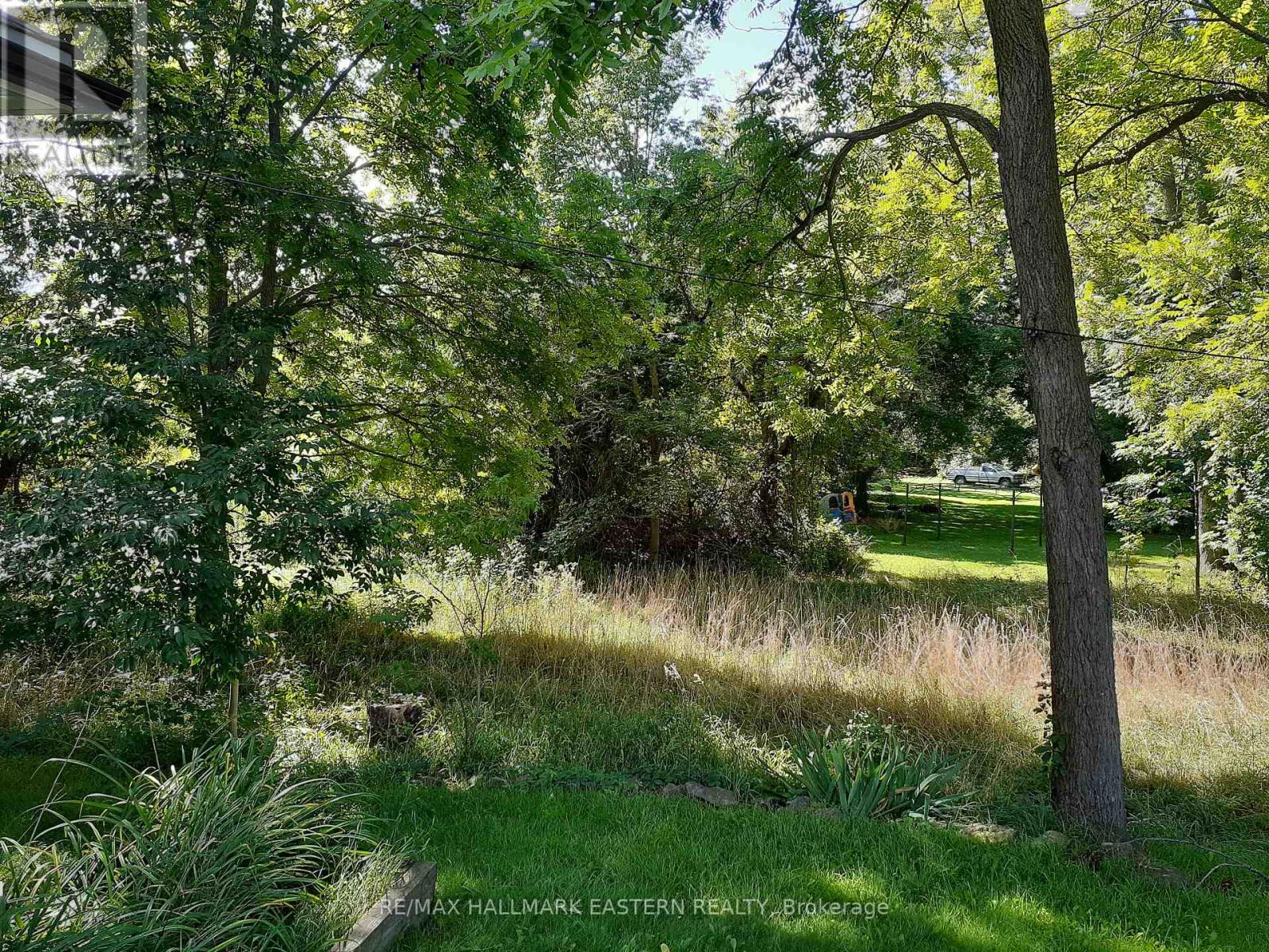 227 A Queen Street Property Photo 2