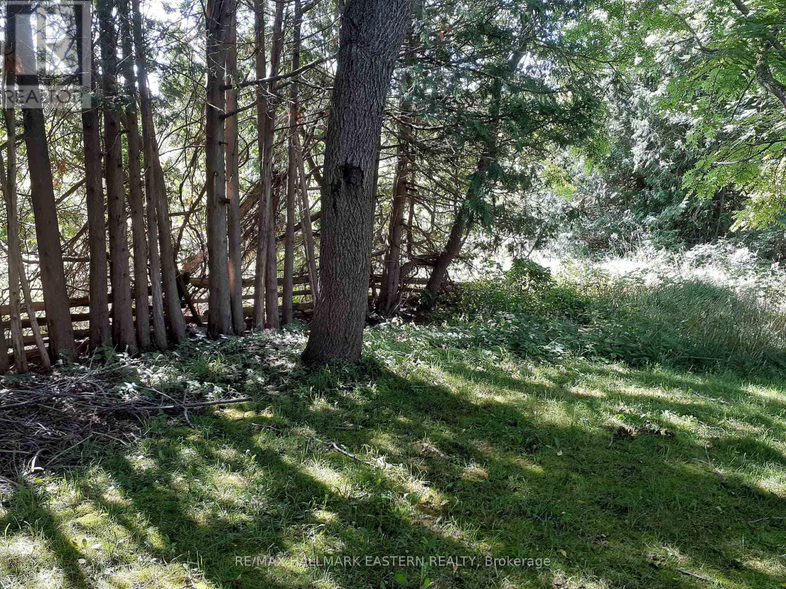 227 A Queen Street Property Photo 4