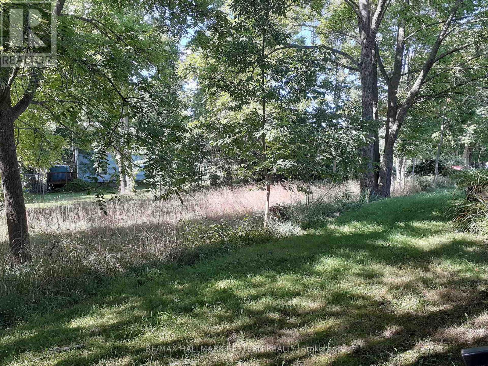 227 A Queen Street Property Photo 5