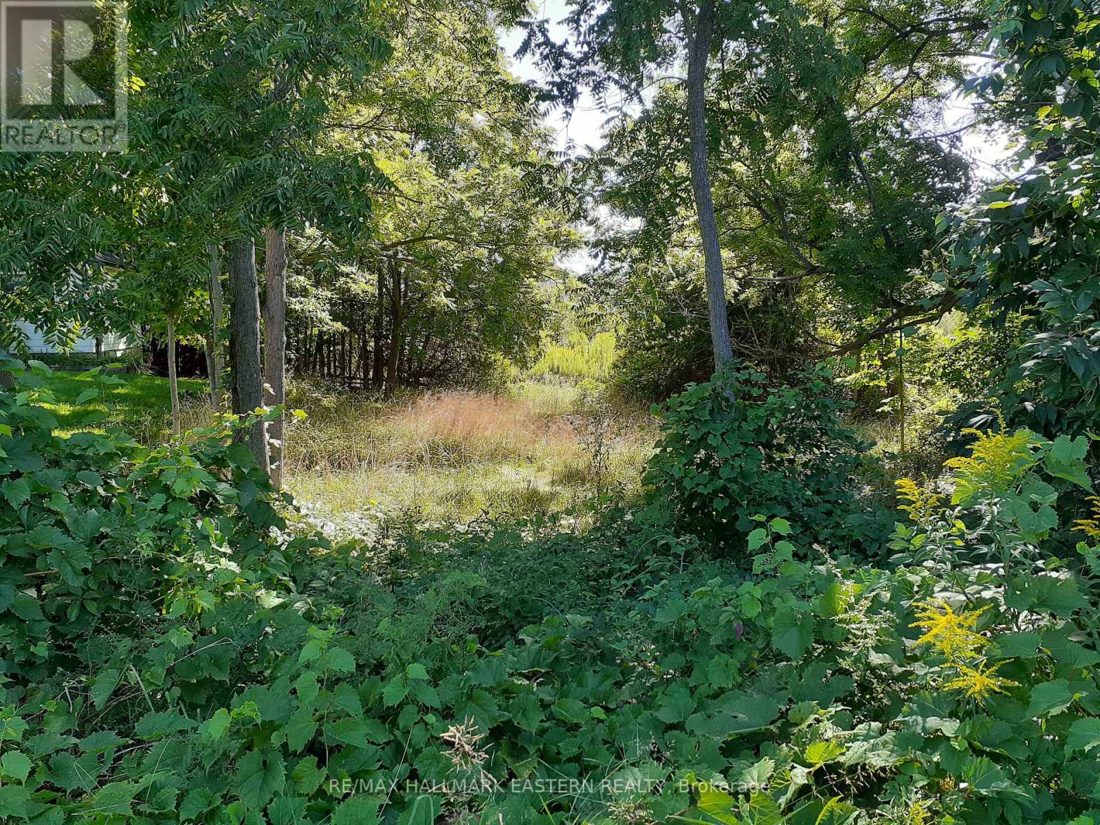 227 A Queen Street Property Photo 6