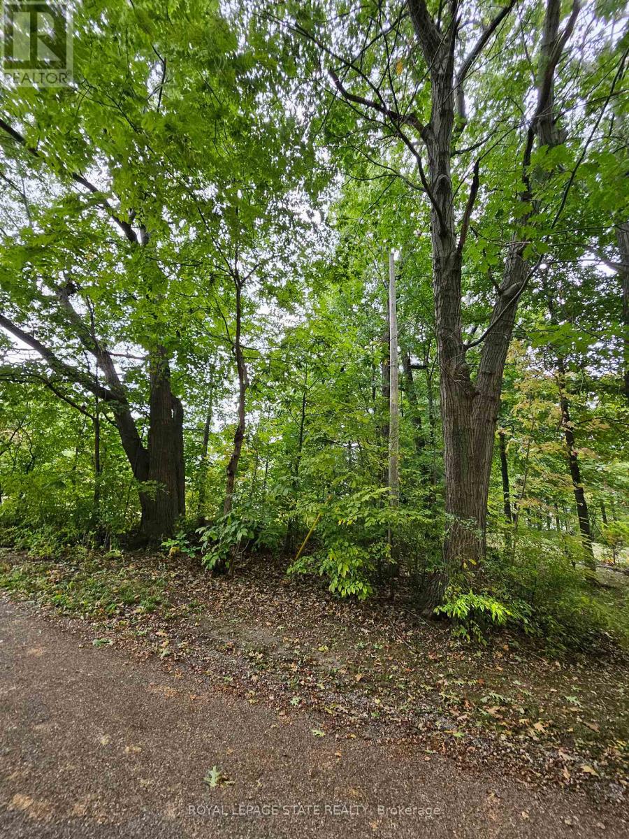 Lot 120 Mohawk Avenue Property Photo 1