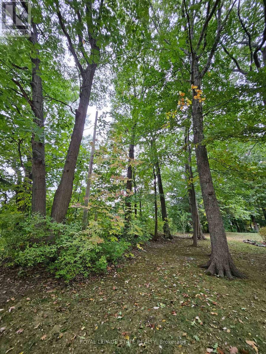 Lot 120 Mohawk Avenue Property Photo 2