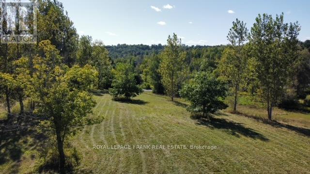 9 Trent Ave Property Photo 5