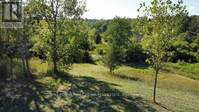 9 Trent Ave Property Photo 6
