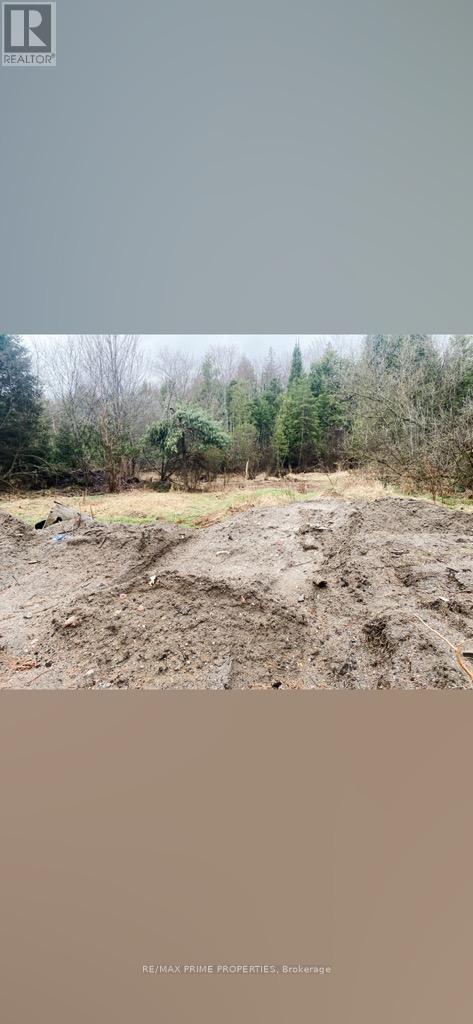 0 Burnt River Road Property Photo 5