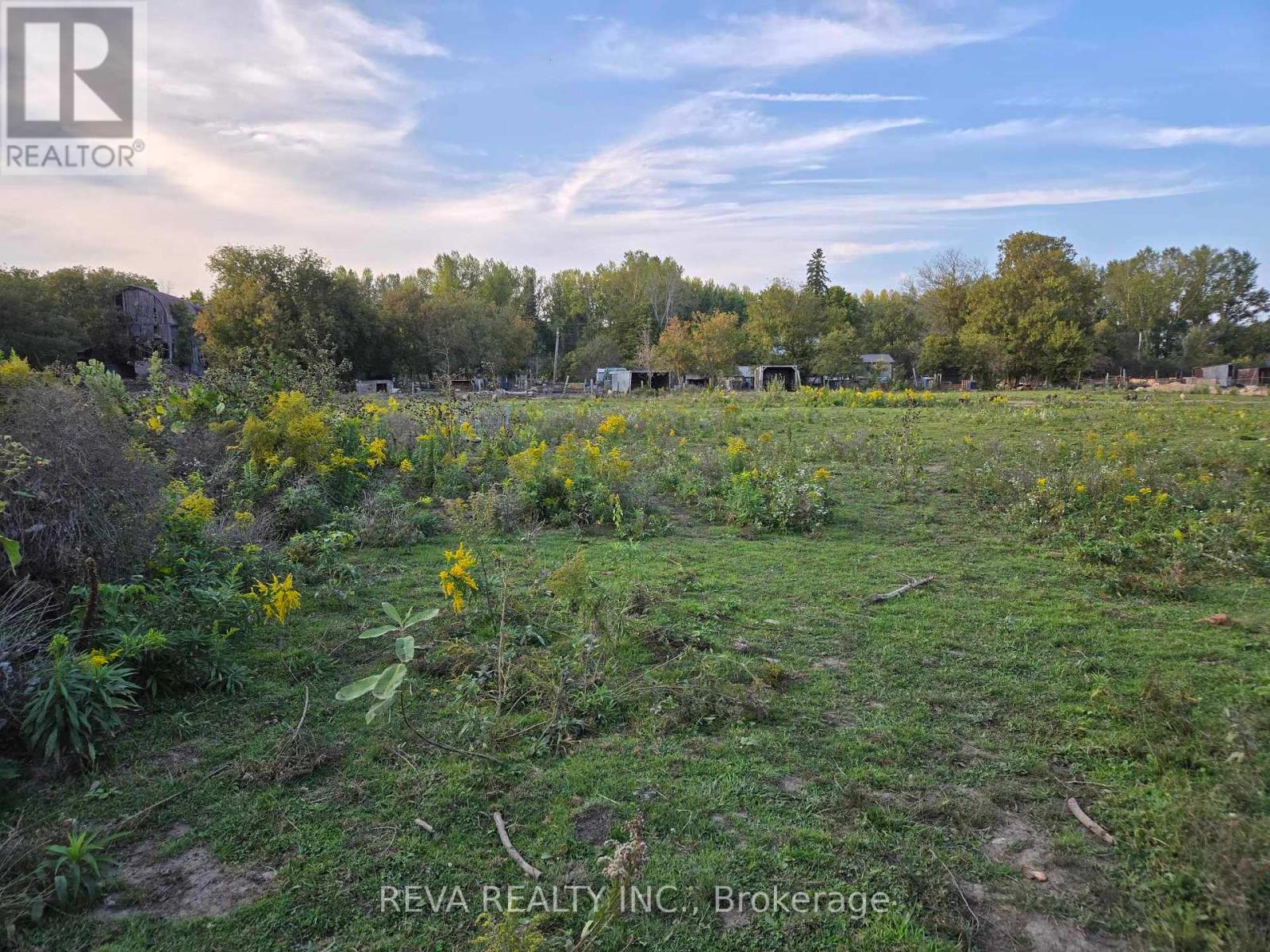 782 Shannon Road Property Photo 3