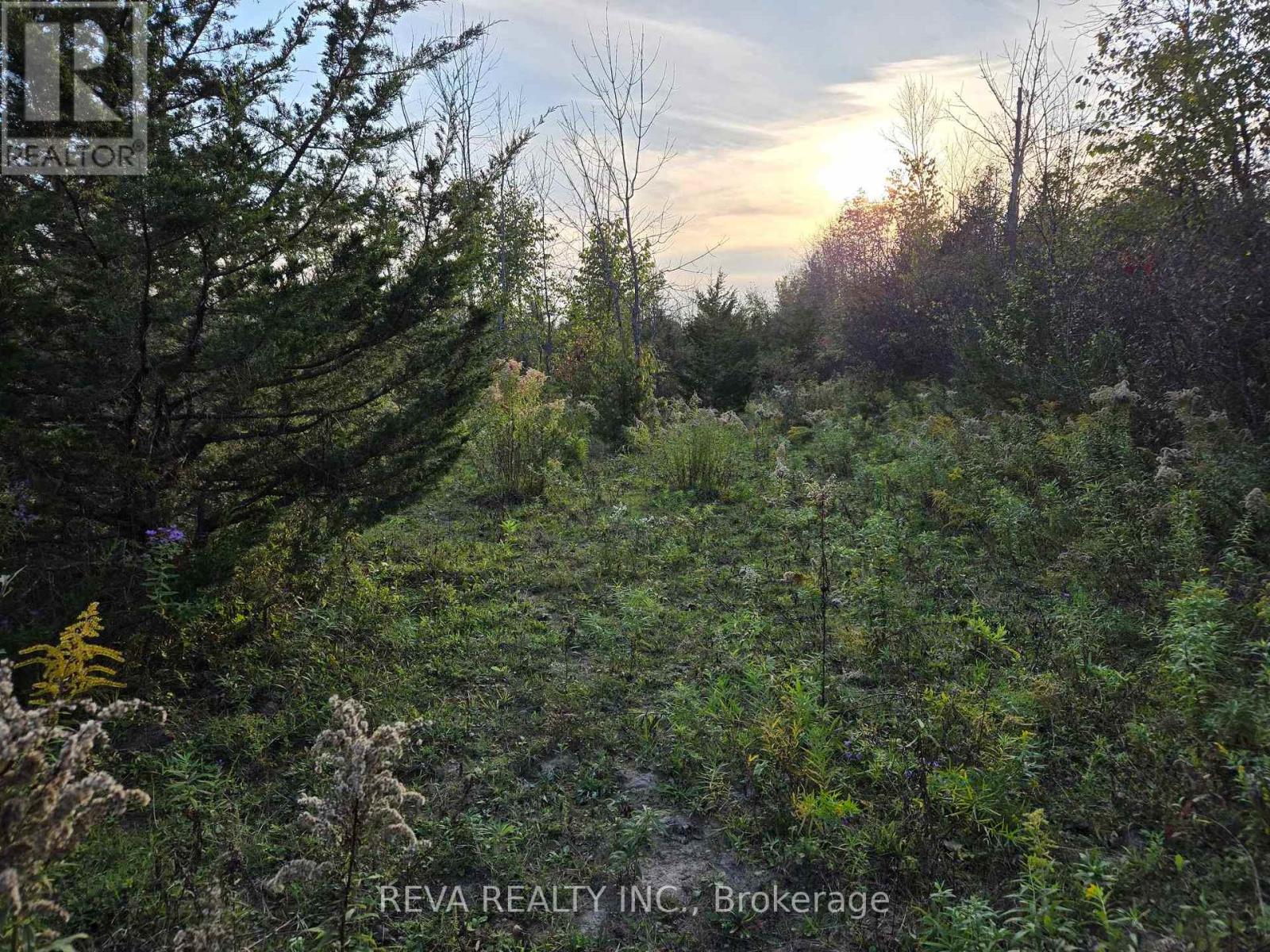 782 Shannon Road Property Photo 7