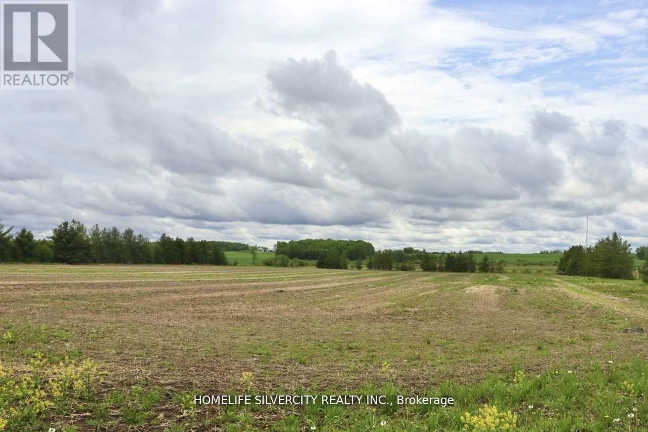 374136 6th Line Property Photo 3