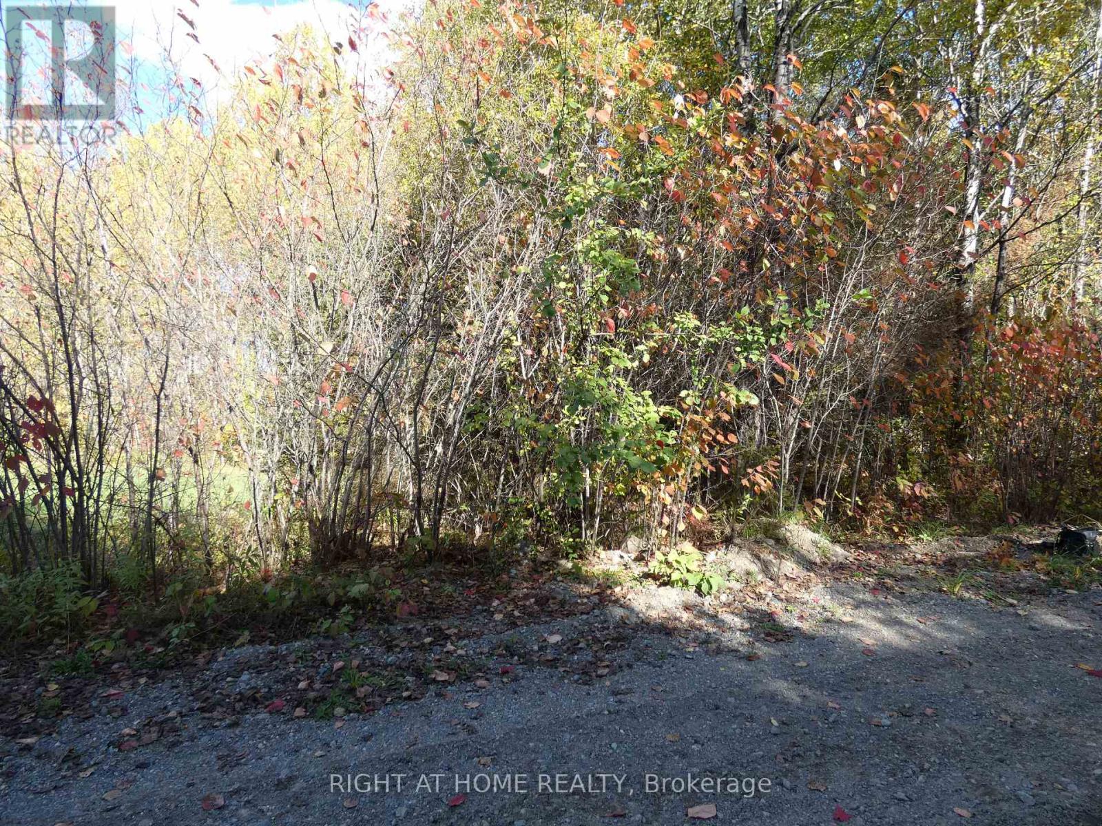 Pt 2&4 Mcdonald Road Property Photo 13