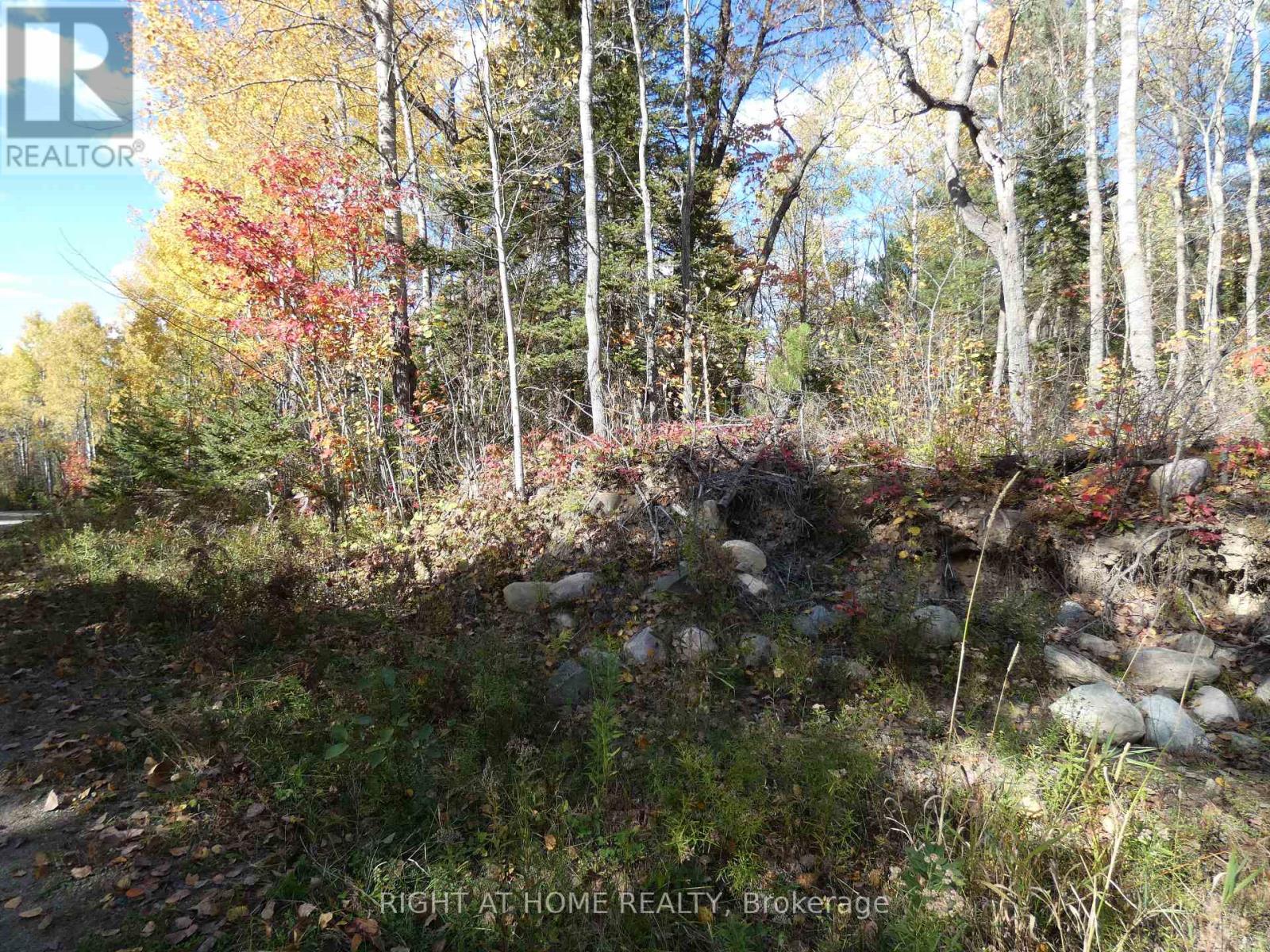 Pt 2&4 Mcdonald Road Property Photo 14